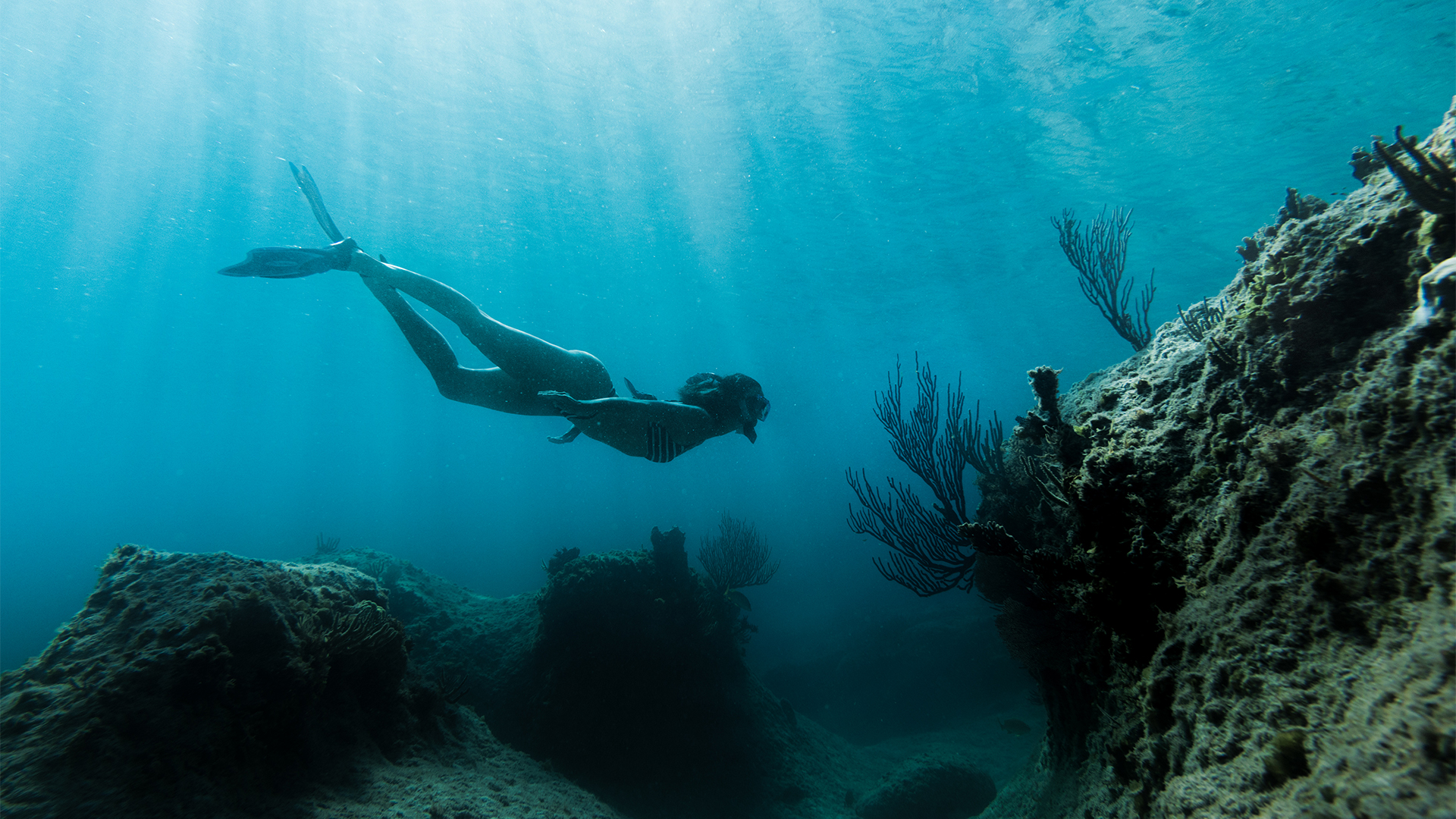 Caribbean, Bahamas, Bahamas & Turks & Caicos, Snorkelling