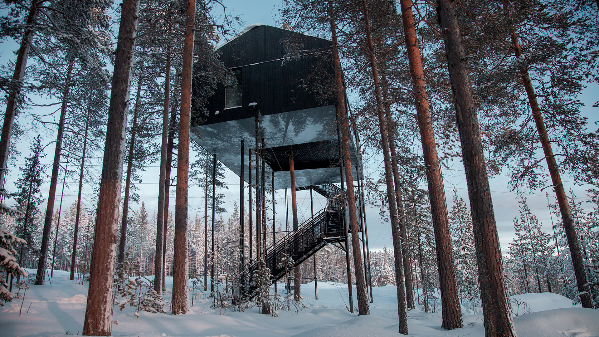 Treehotel
