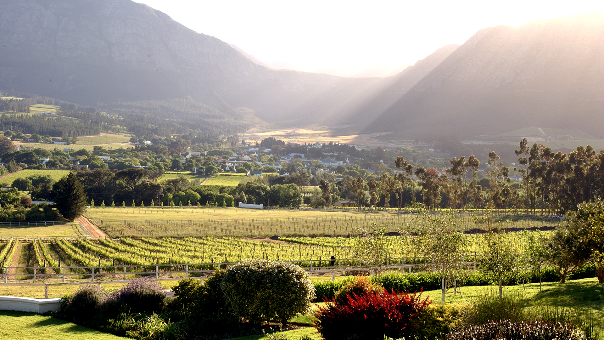 The sun shining on the Mont Rochelle Valley