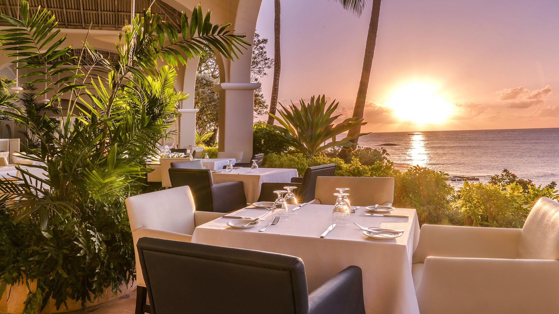 Caribbean, Barbados, Fairmont Royal Pavilion, Palm terrace dining