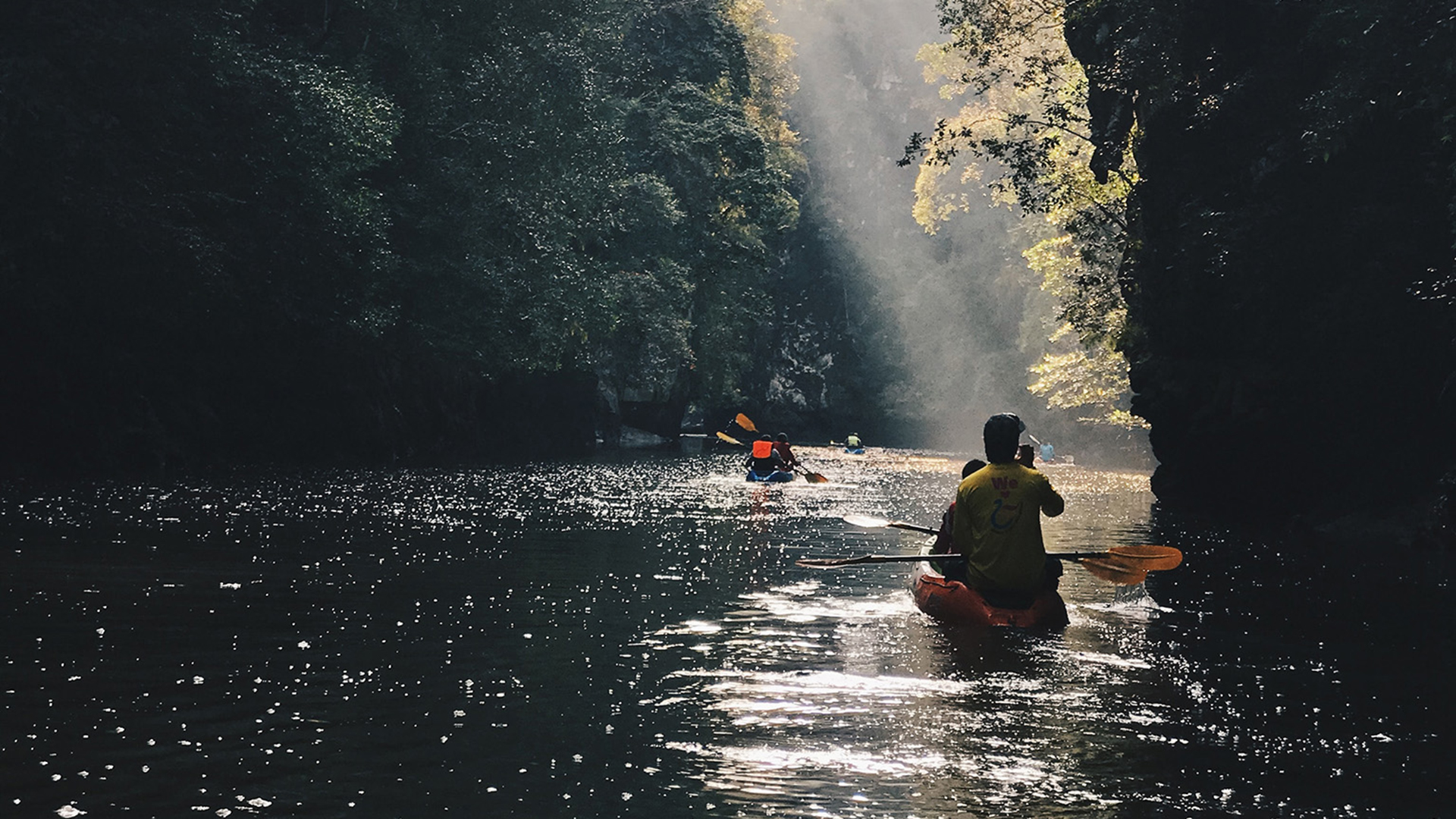 A line of people in kayaks on a dark river under the cover of trees