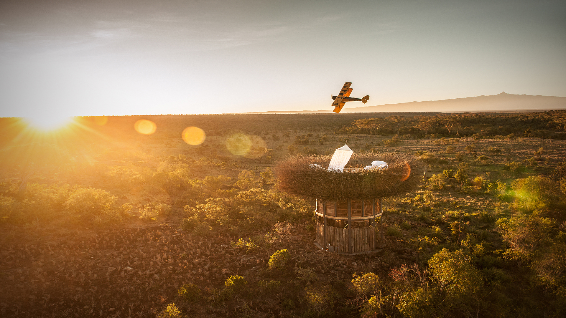 Aircraft and bird nest building