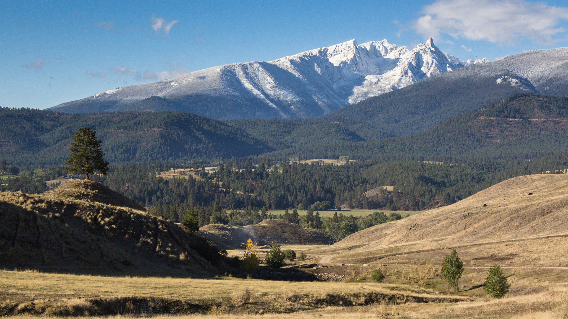  North America, Montana, Triple Creek Ranch, Trapper Peak