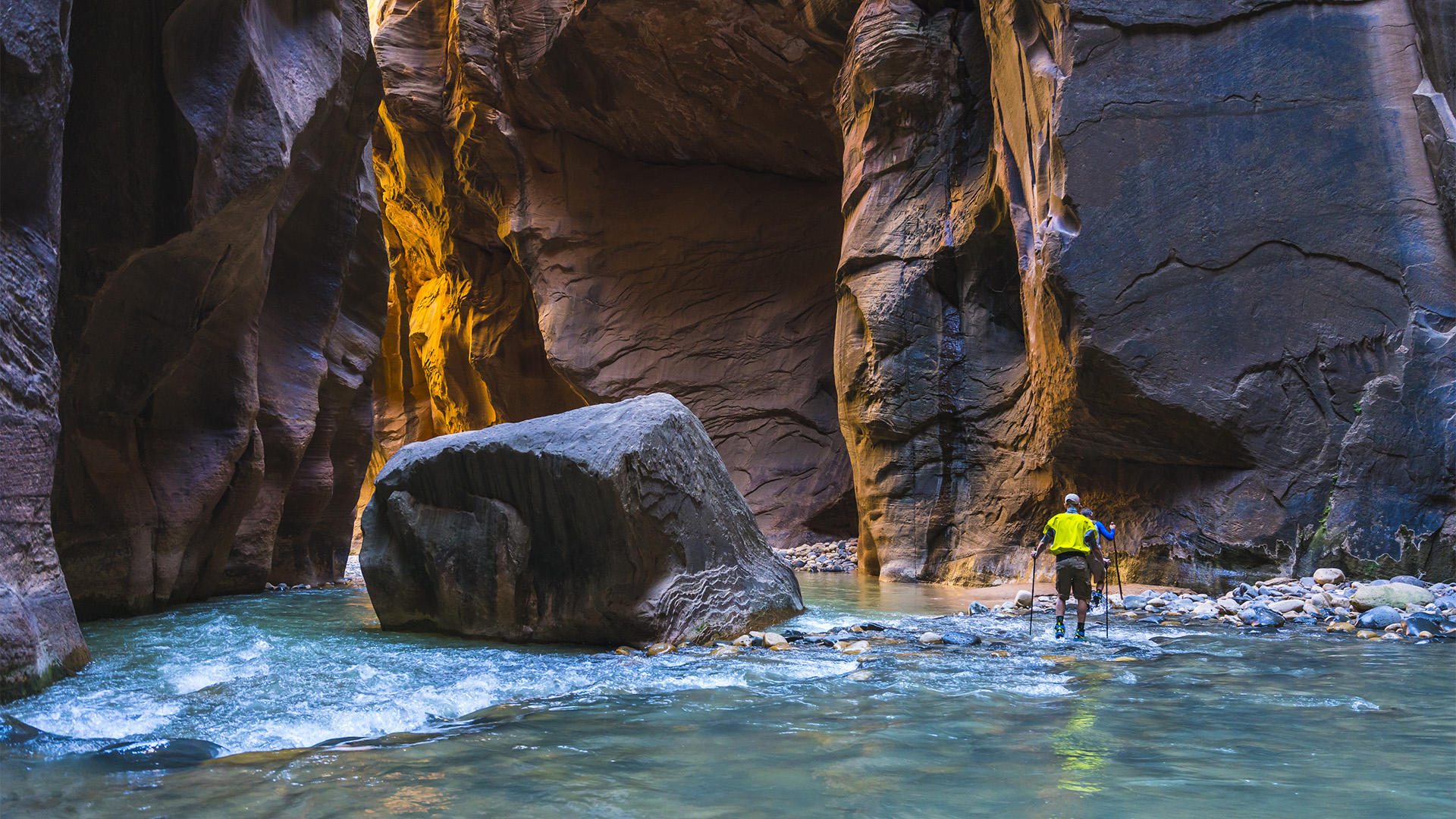 People hiking through a stream that passes through a rocky ravine in Zion national park