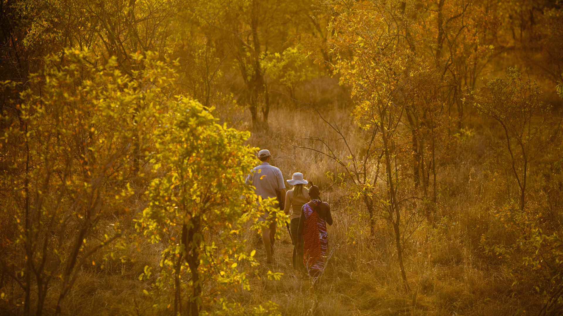 Africa, Tanzania, Tarangire treetops, Bush walk