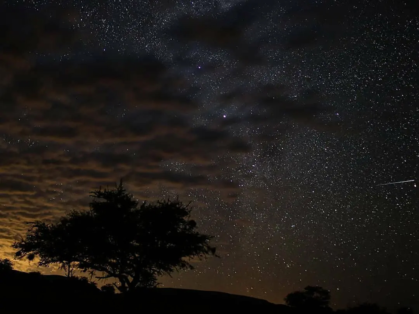  South africa, Northern cape province, Tswalu game reserve, Night sky at tswalu
