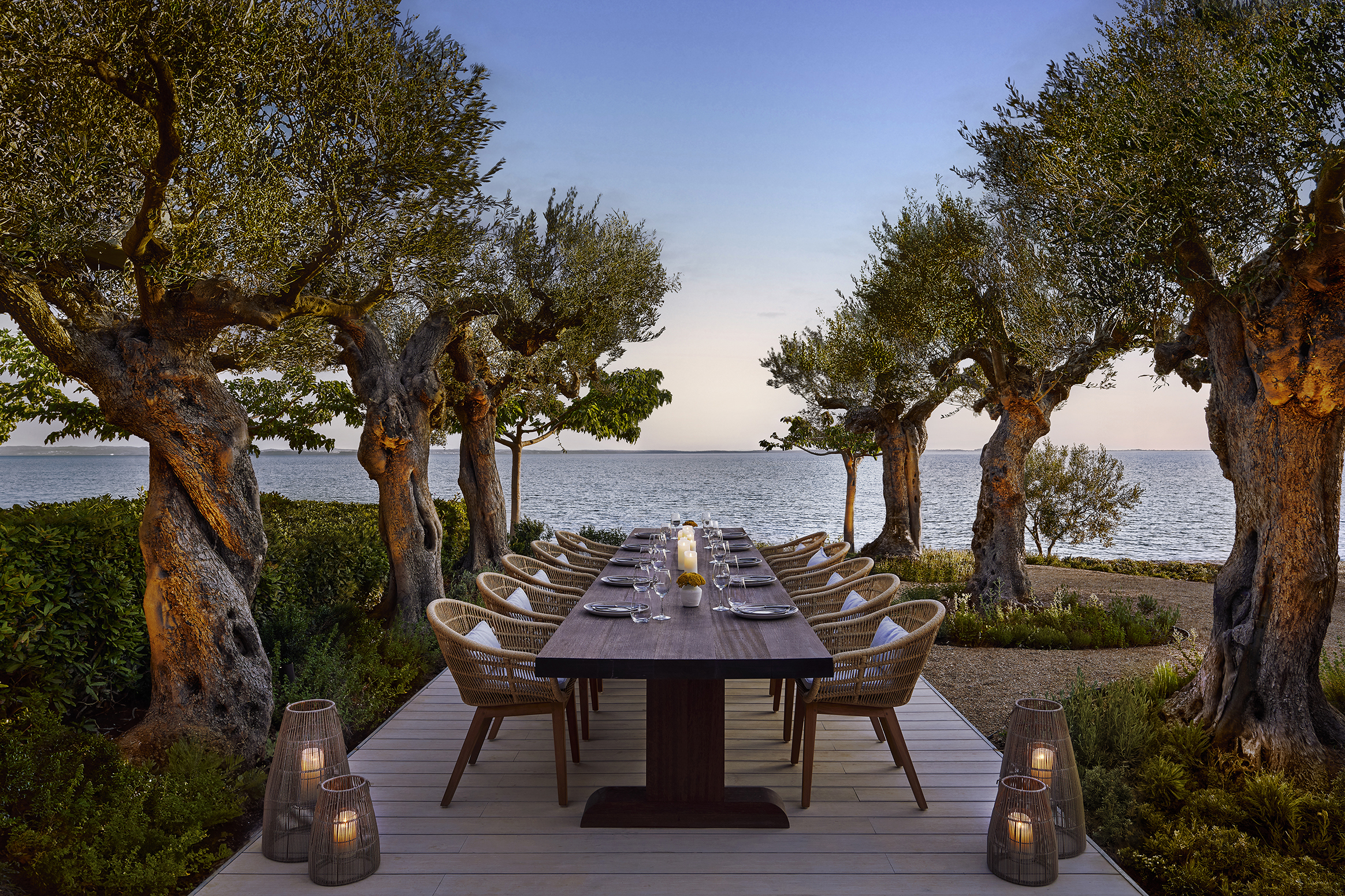 A large outdoor dining table and chairs set for dinner flanked by established olive trees stretching out towards the ocean