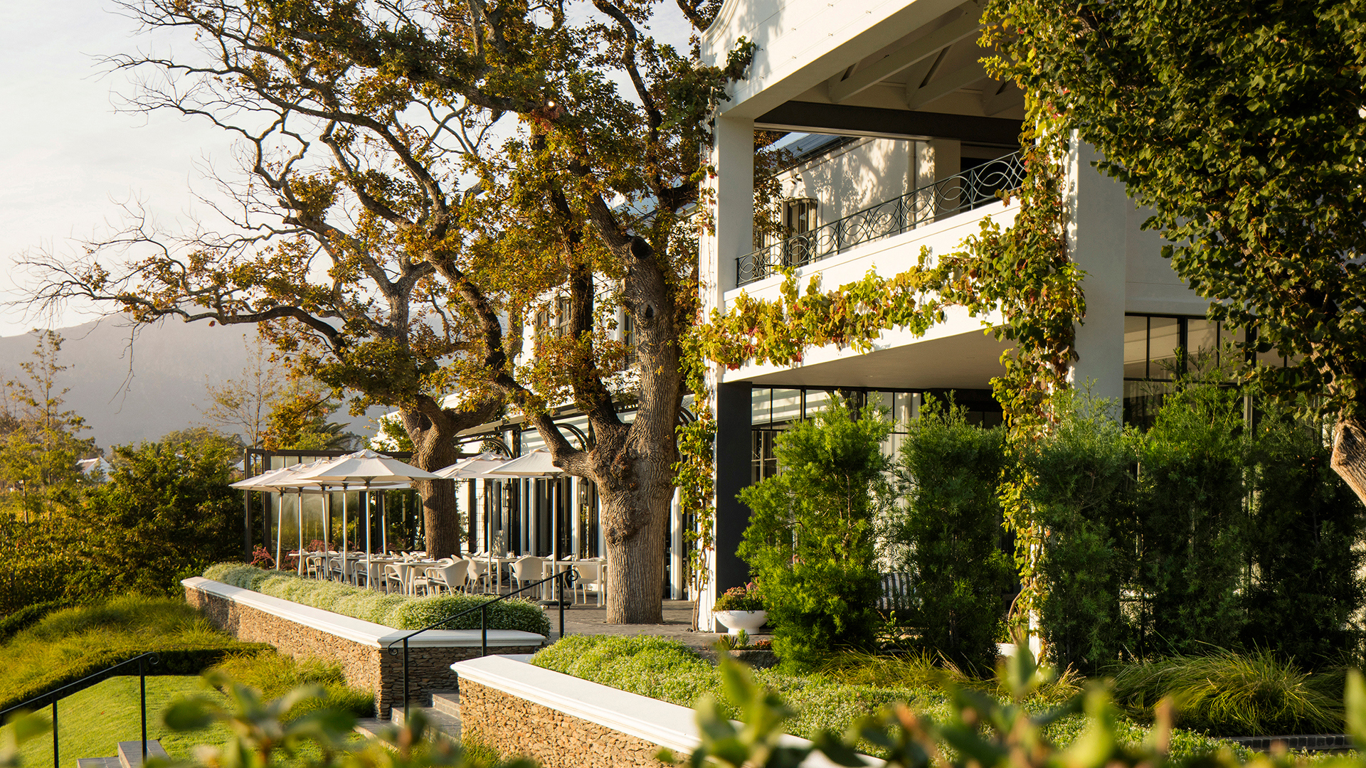 Africa, South Africa, Leeu Estate, Manor House Terrace