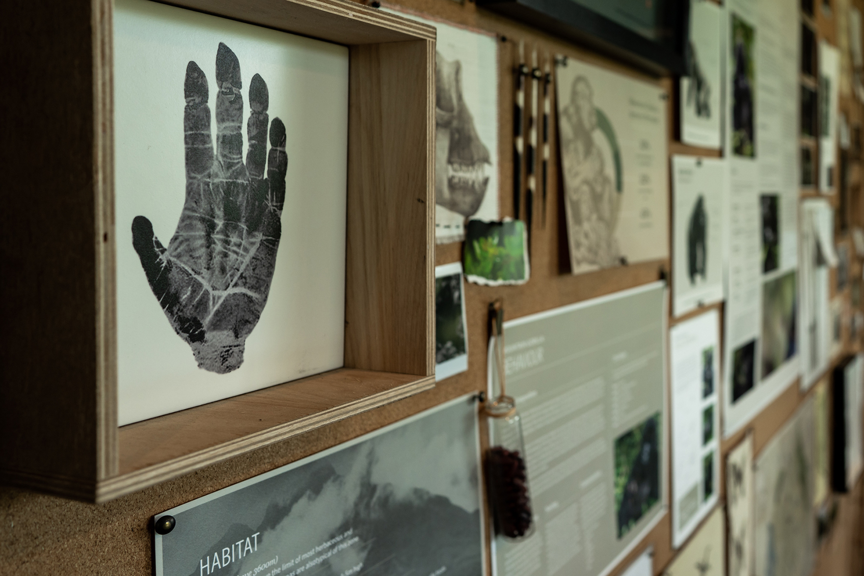 Africa, Rwanda, Singita Volcanoes National Park Conservation Room poster wall