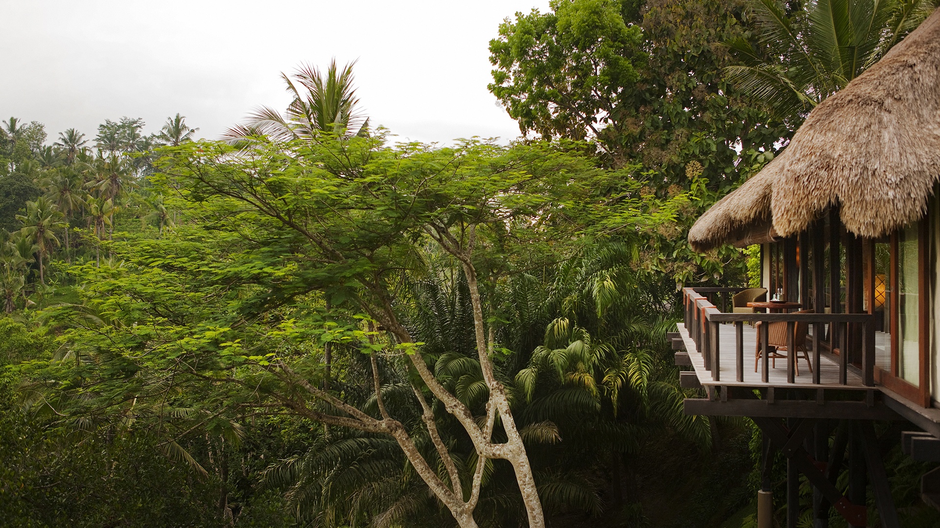  Worldwide, Indonesia, COMO Shambhala Estate, Suite balcony view