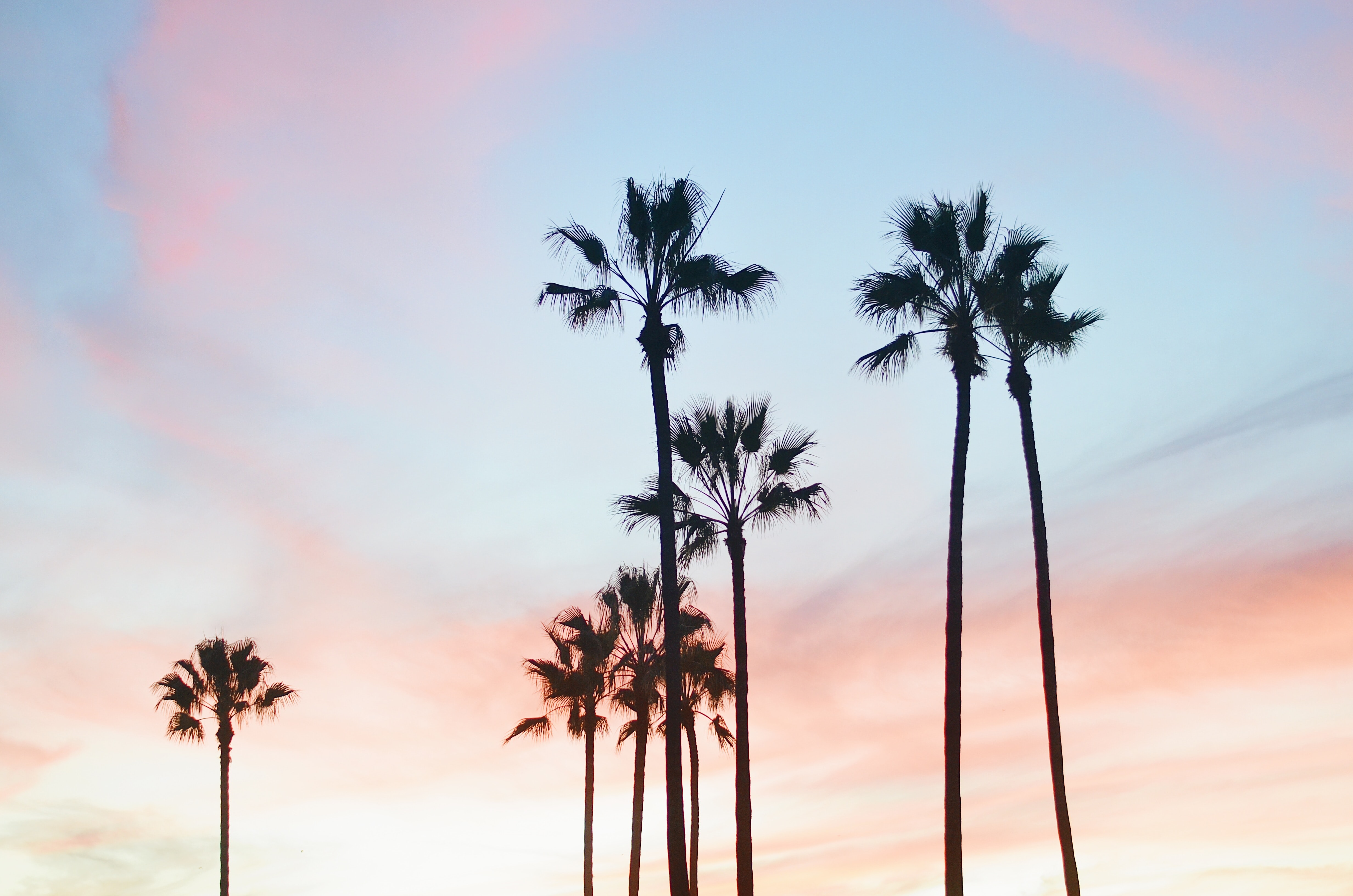 Los Angeles, sky and palm trees