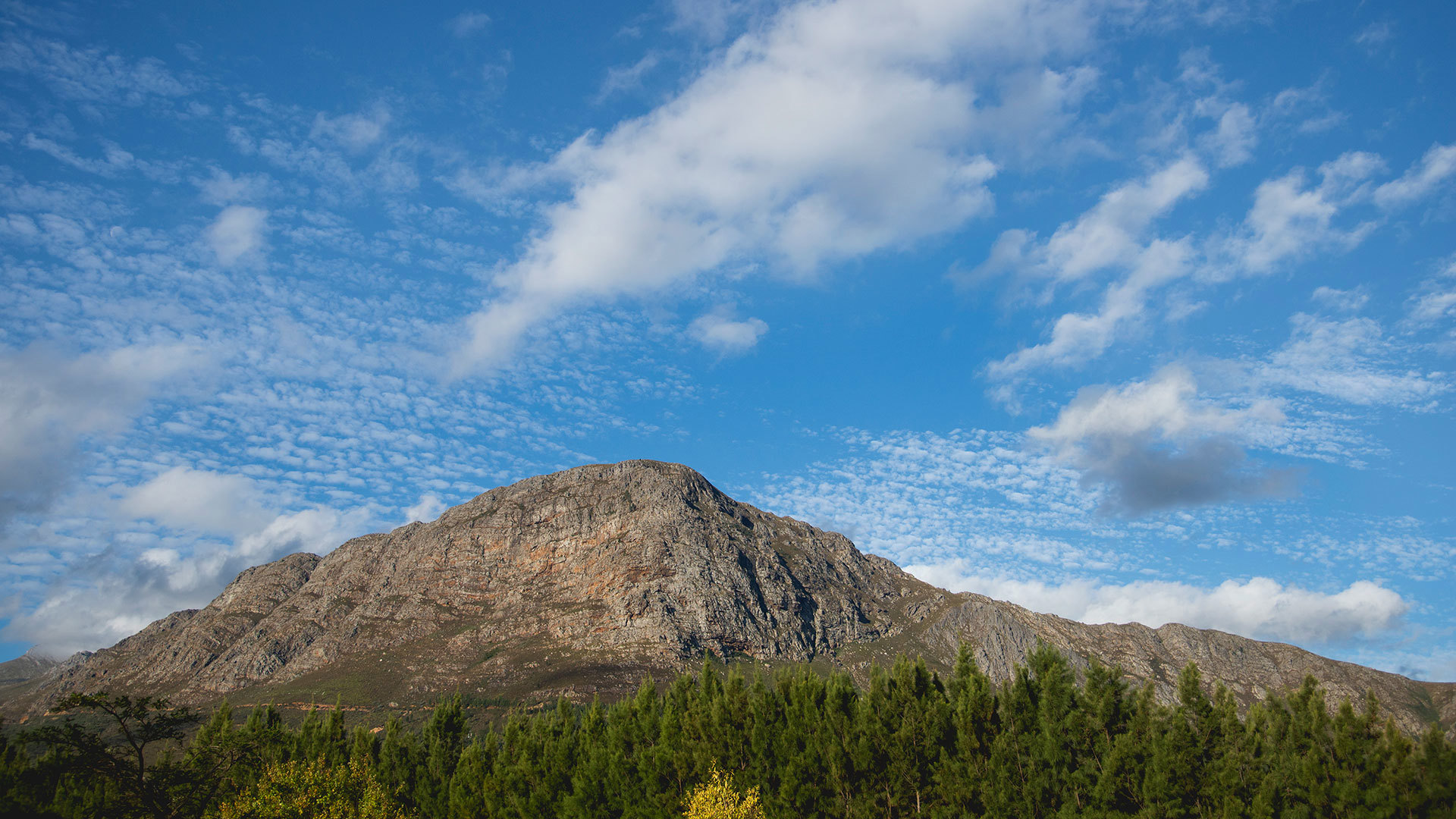 Africa, South Africa, The Last Word Franschhoek, View