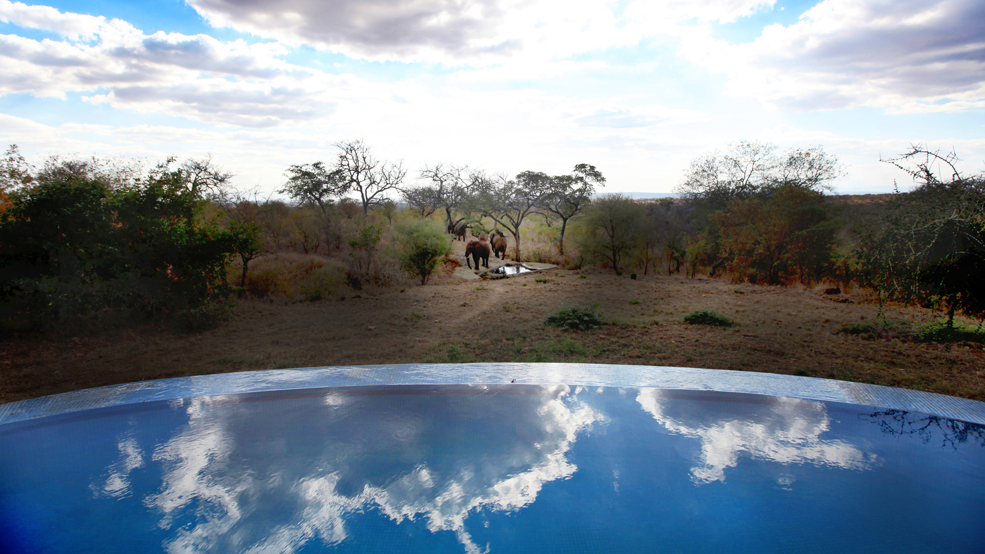 Africa, Tanzania, Tarangire treetops, Swimming pool