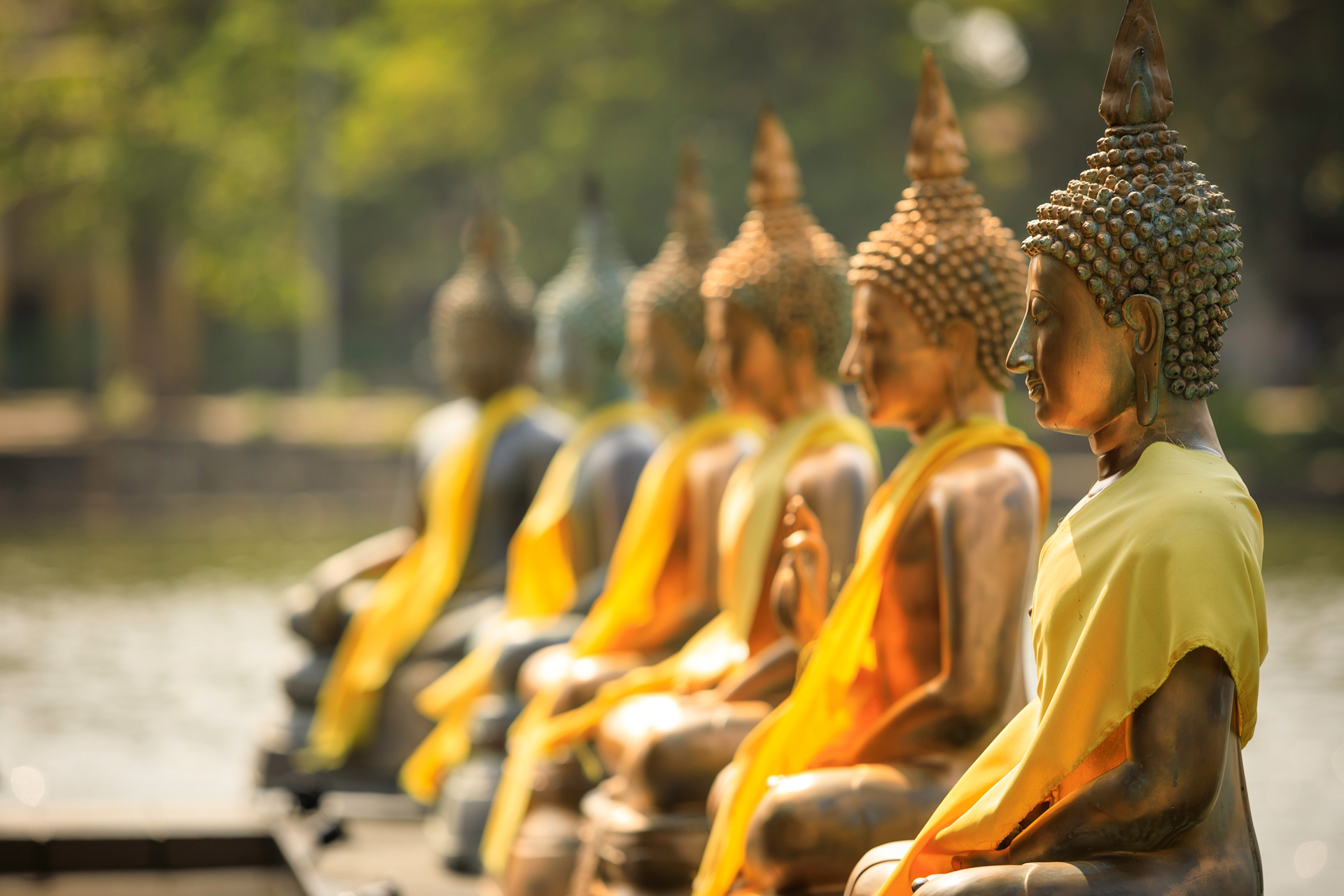 A line of six golden buddha statues with orange drapes