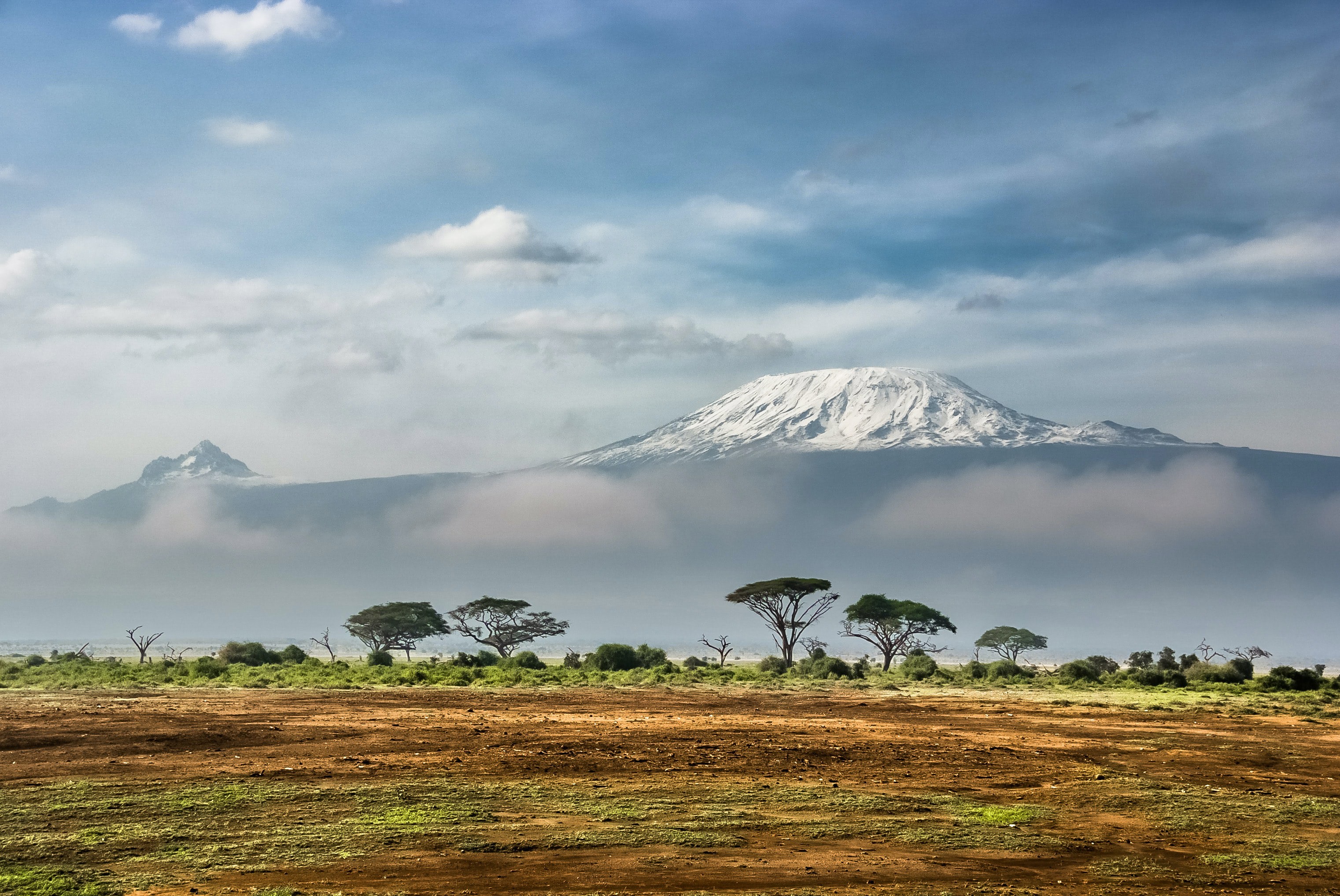 A view of Mt Kilimanjaro
