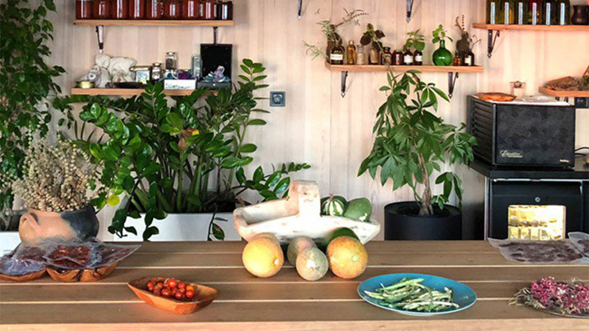 A kitchen worktop at The Earth Lab