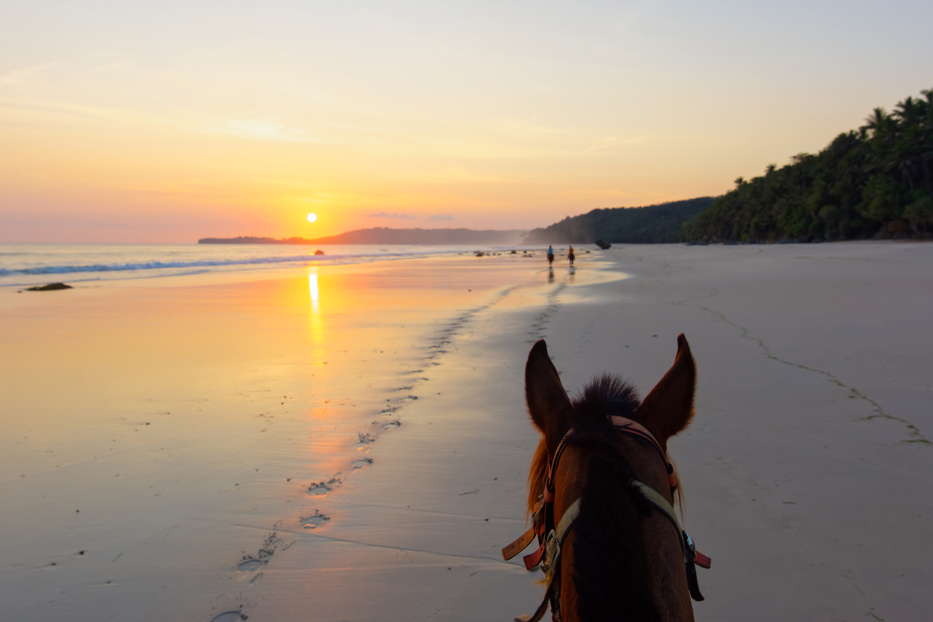 A horse being ridden on a beach while the sun sets in the distance