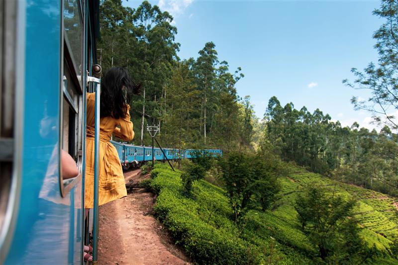 Woman with black hair wearing a yellow dress leaning out the doorway of a long blue train driving through the jungle