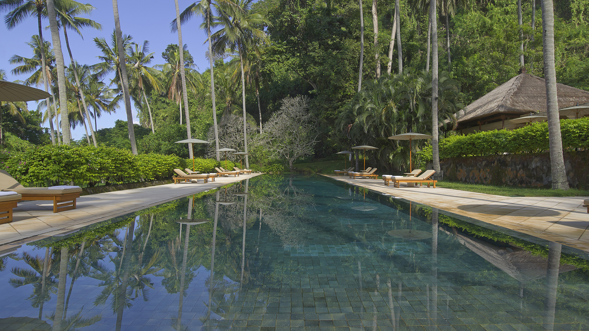 Worldwide, Indonesia, Amankila, Lap Pool