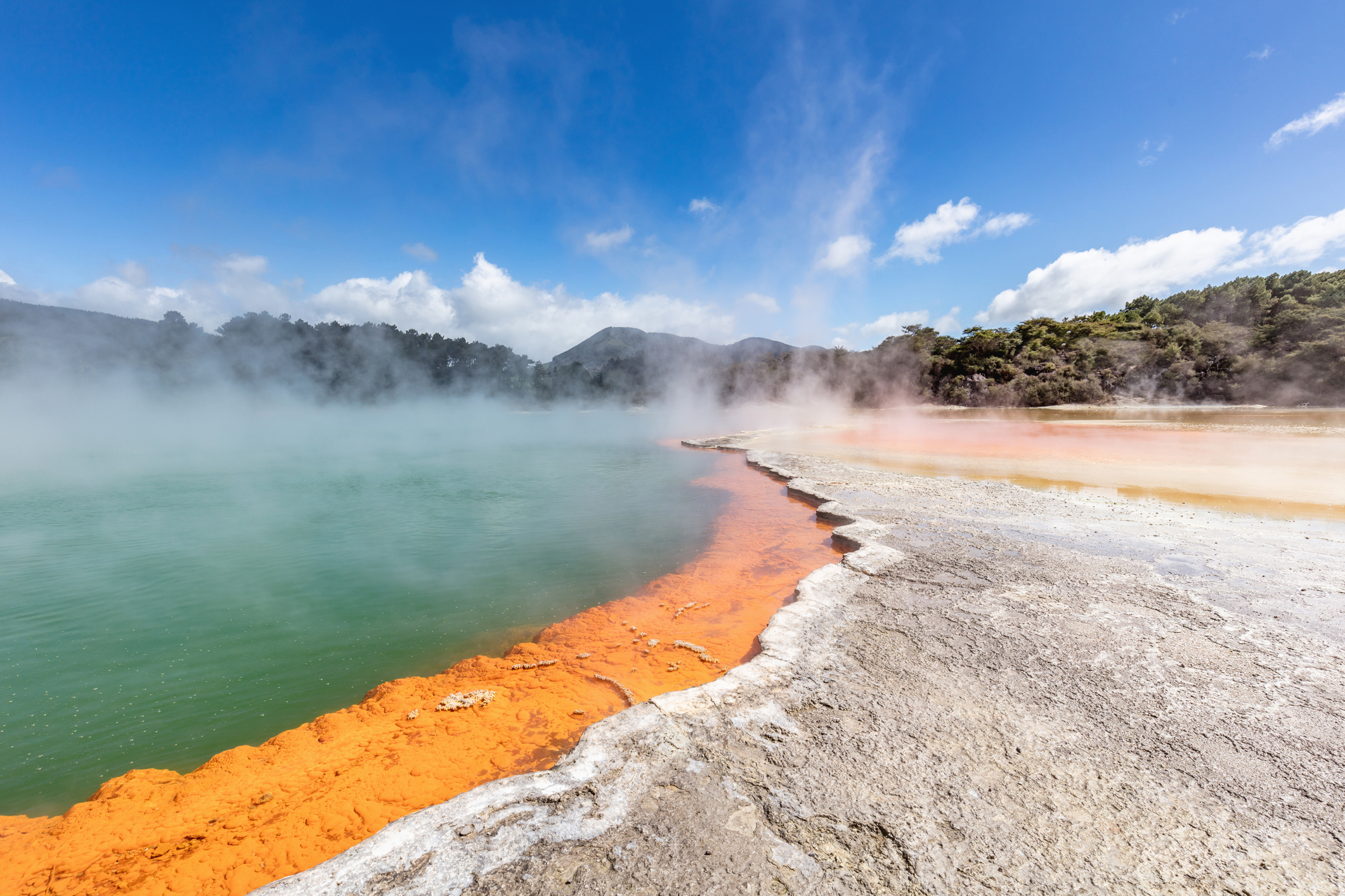 Hot springs at Rotorua in New Zealand