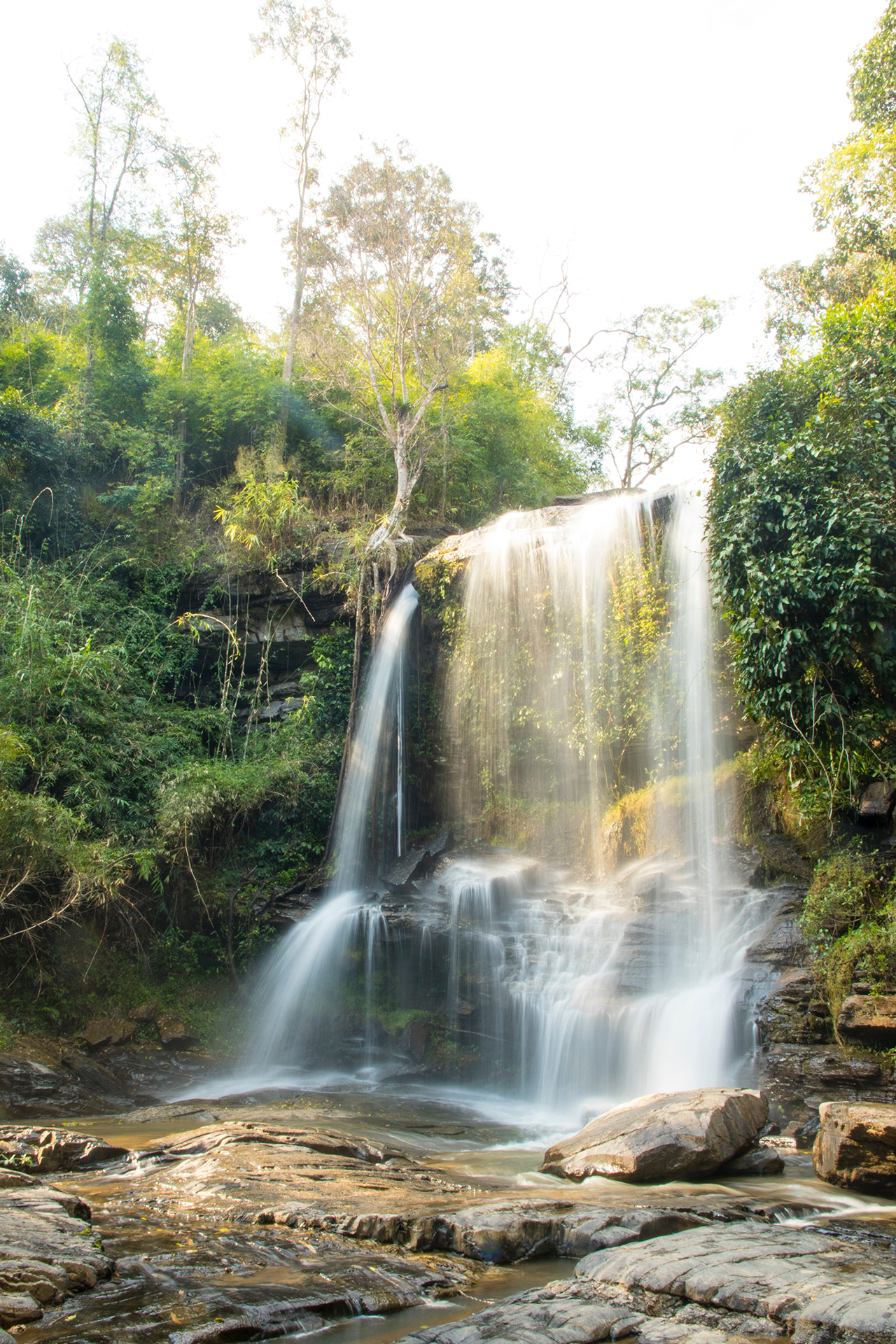 A waterfall in a forest