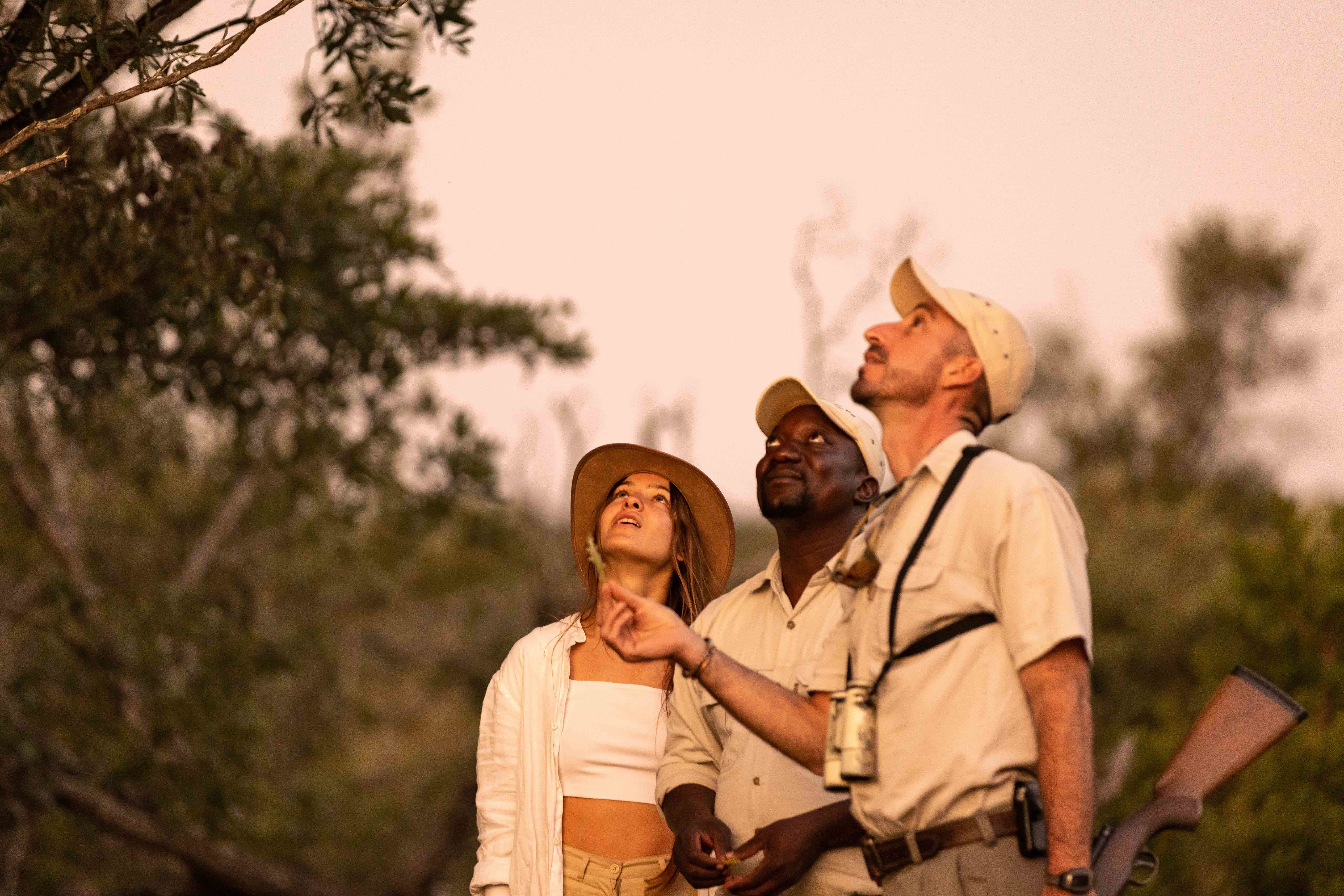  Africa, South Africa, Ulusaba Rock Lodge, Walking Safari