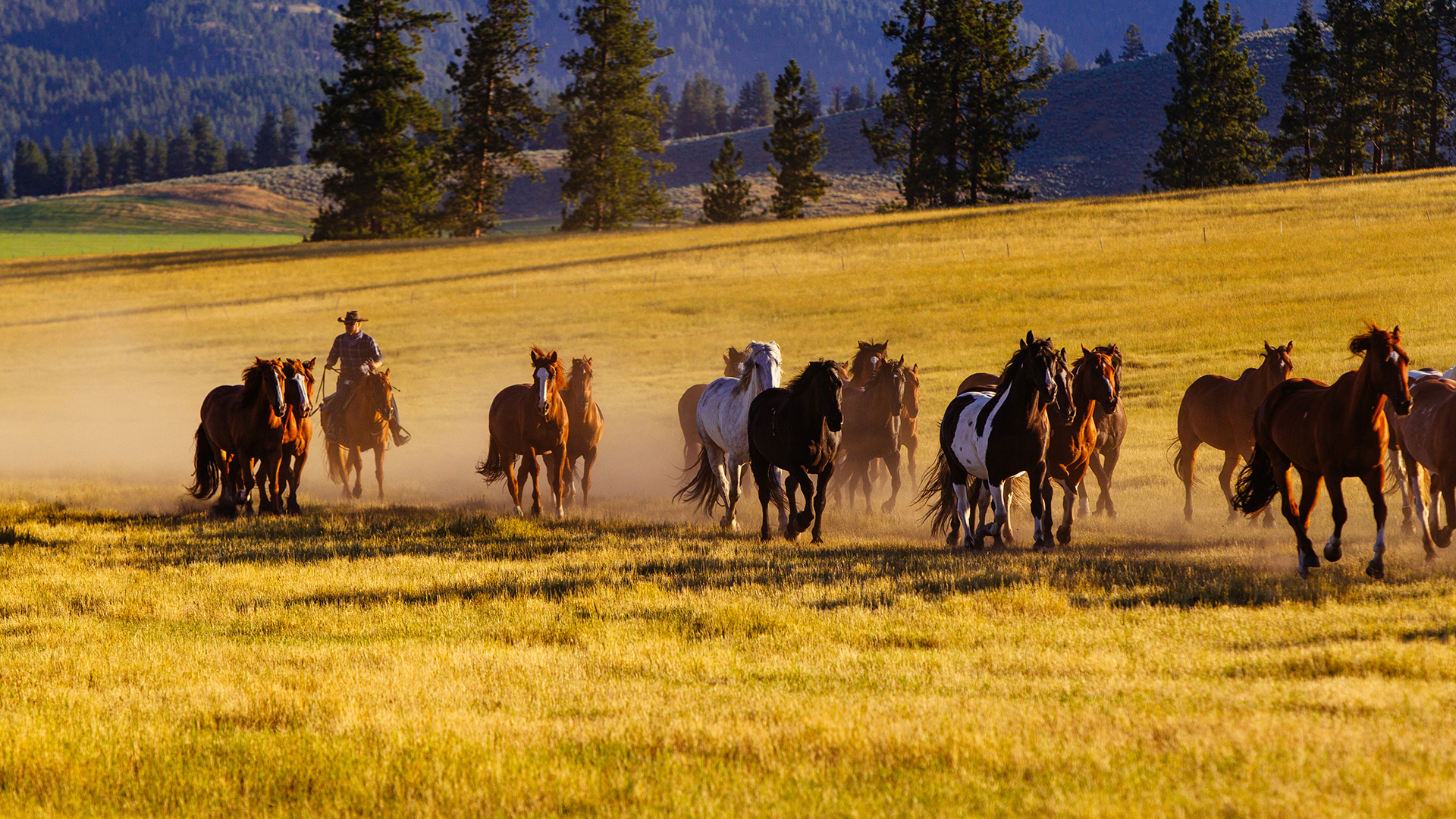 USA, Luxury Montana Holidays, The Resort at Paws Up, Horse Riding