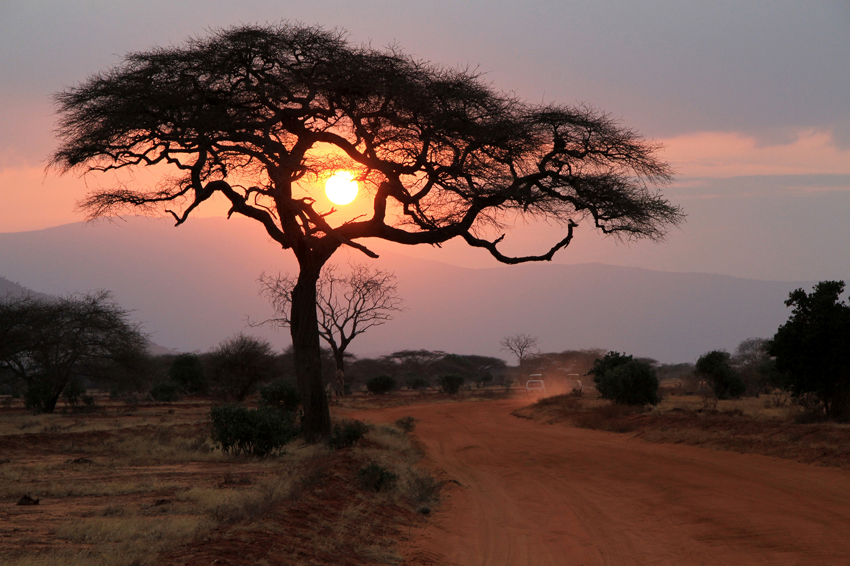 The setting sun shines through the branches of a tree next to a dirt path in Africa
