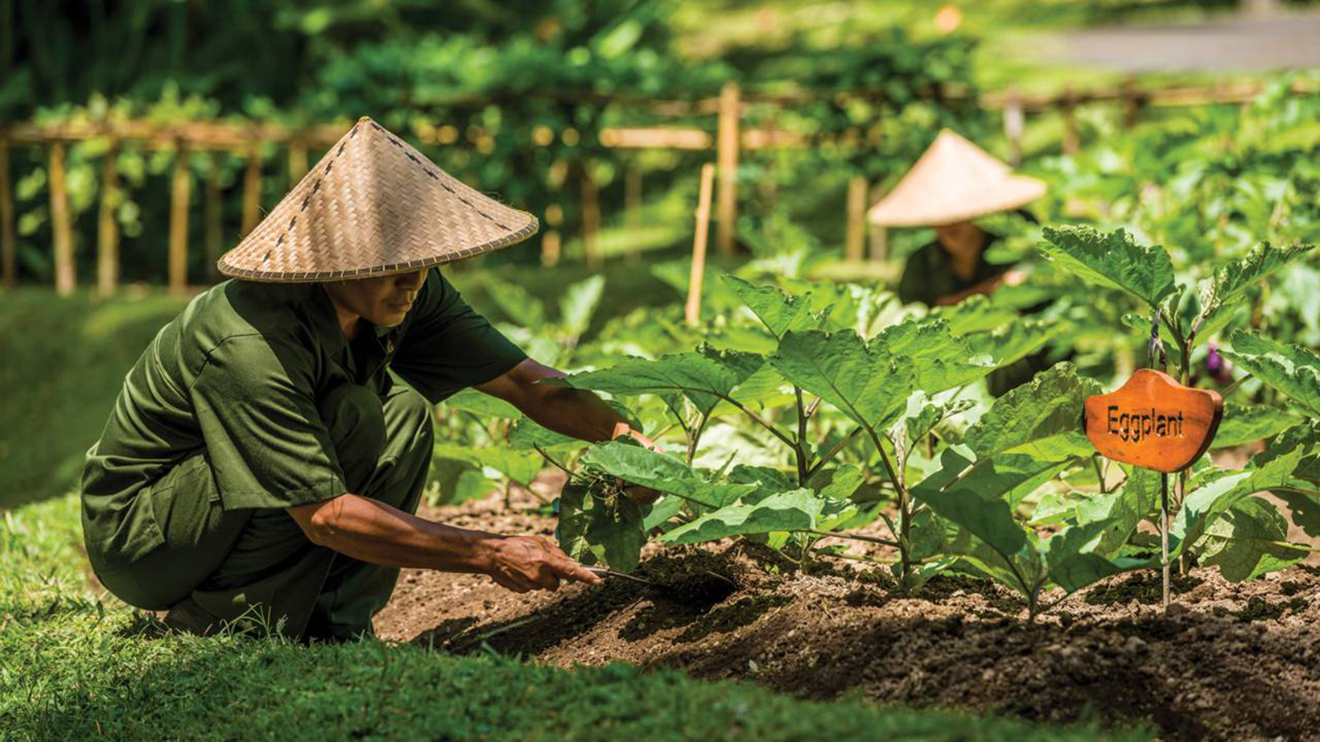 Worldwide, Indonesia, Four Seasons Resort Bali at Sayan, Sokasi