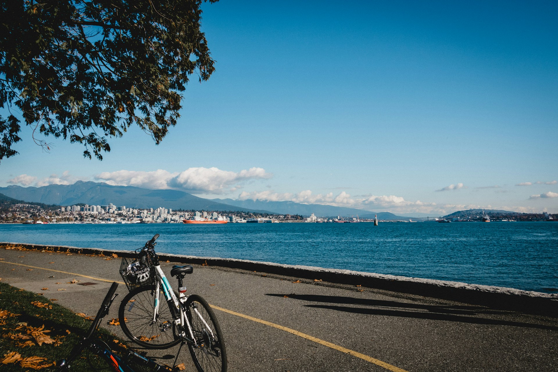 A bicycle parked on a paved path beside a lake, with a Vancouver cityscape and mountains in the background