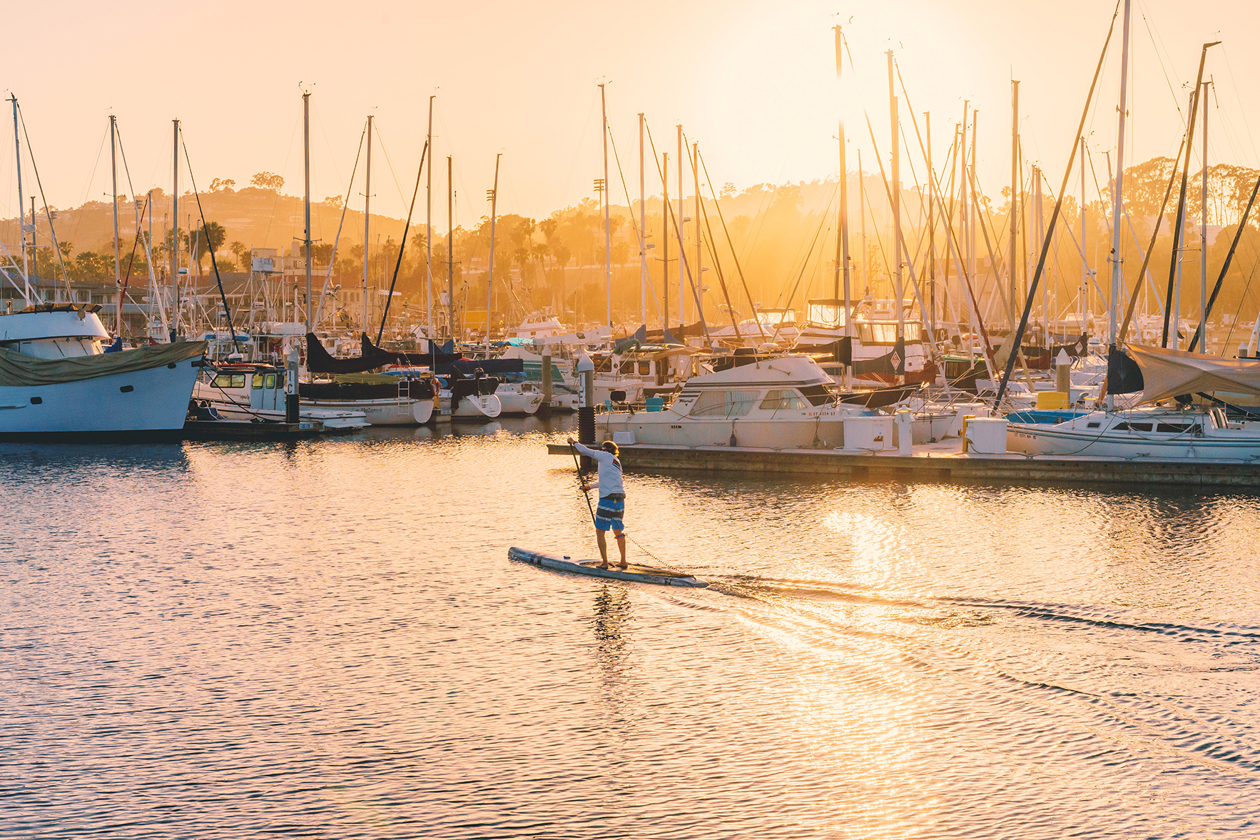 Man paddle boarding near boats in Santa Barbara harbour at sunset