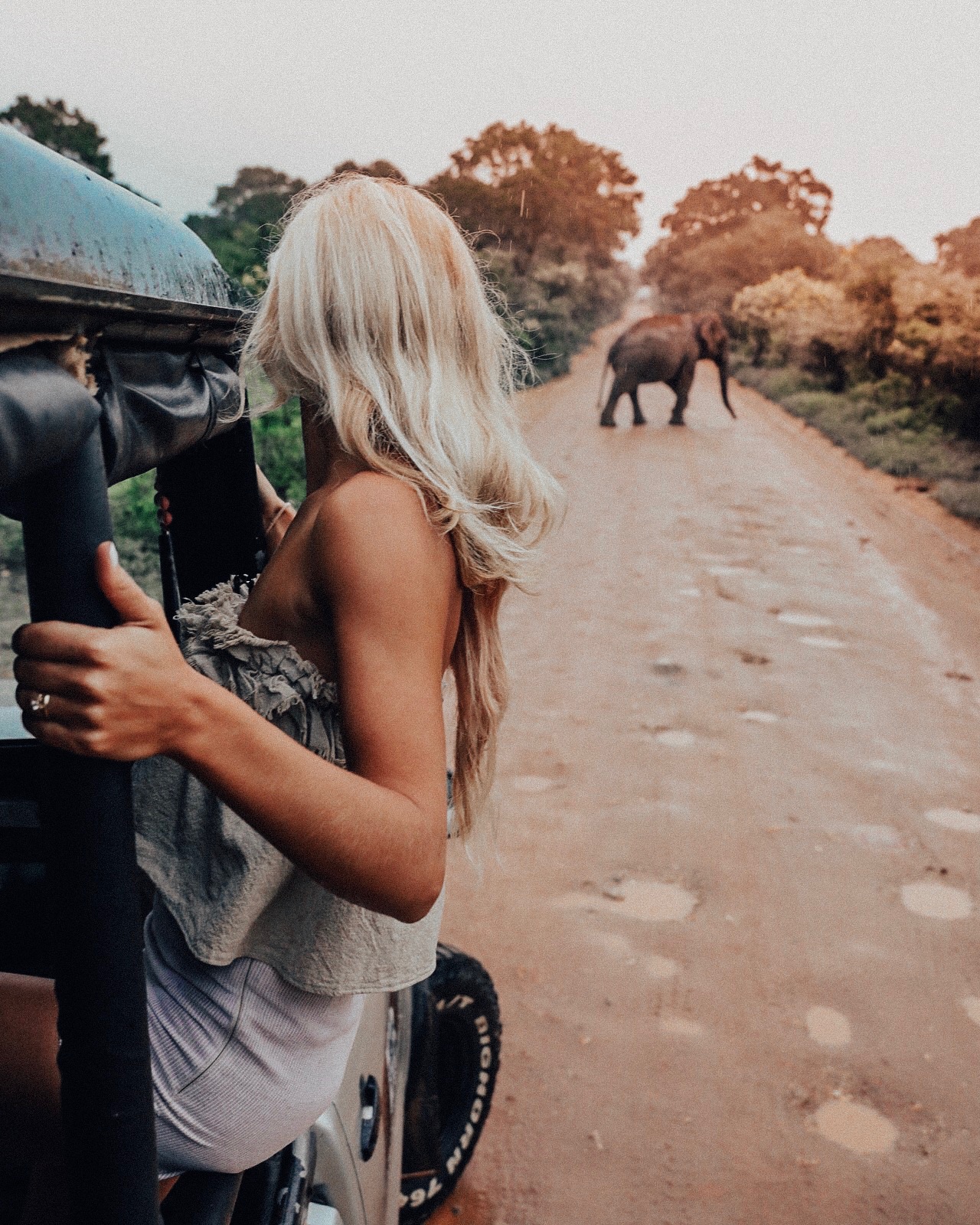 A blonde woman on a safari leans out a jeep as an elephant is seen up ahead