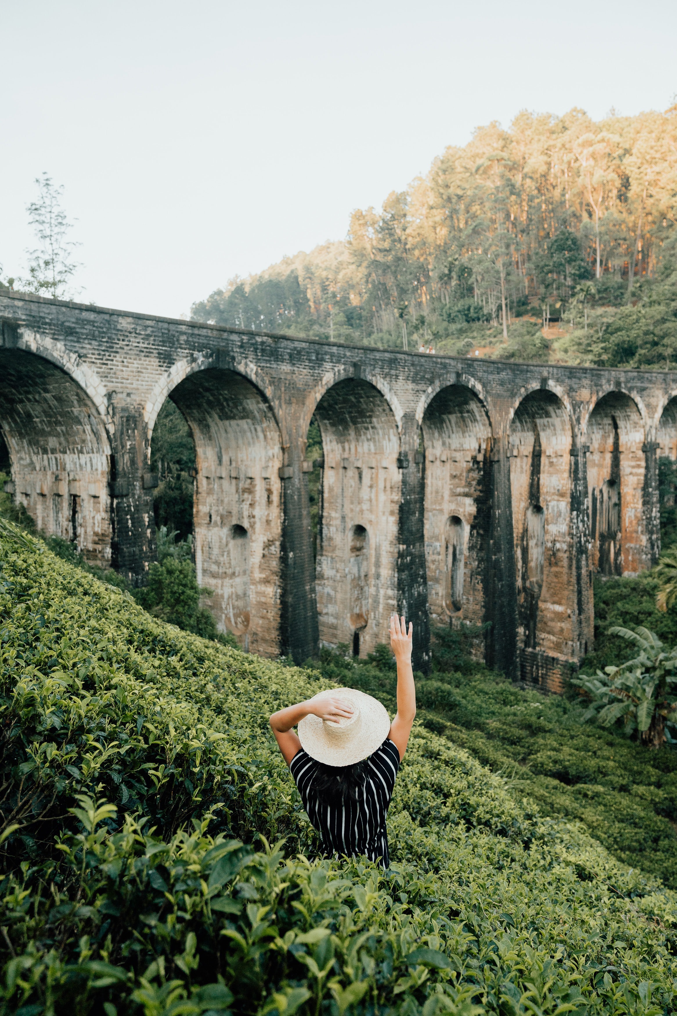 Woman in striped shirt and white sun hat standing amongst greenery holding up her hand towards an arhced railway bridge