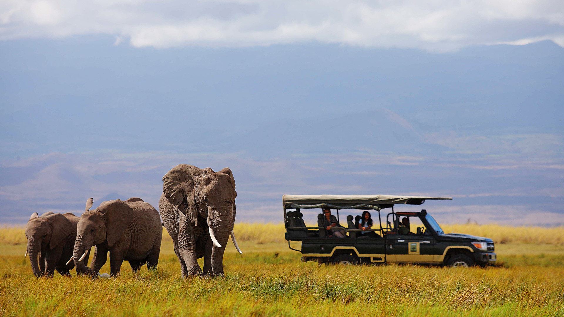 Africa, Kenya, Tortilis Camp, game drive