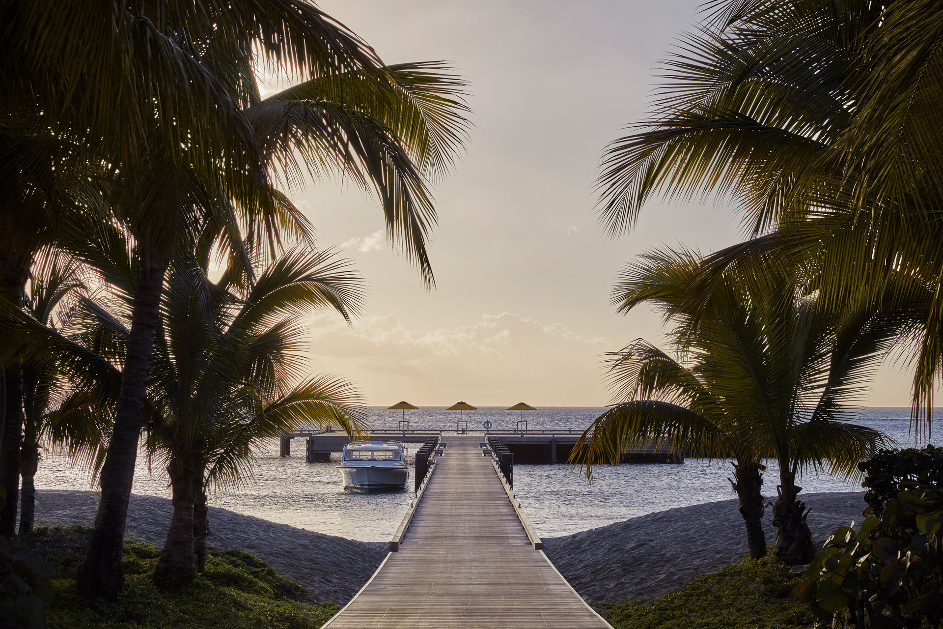 A wooden pier stretching out in front with a palm tree either side