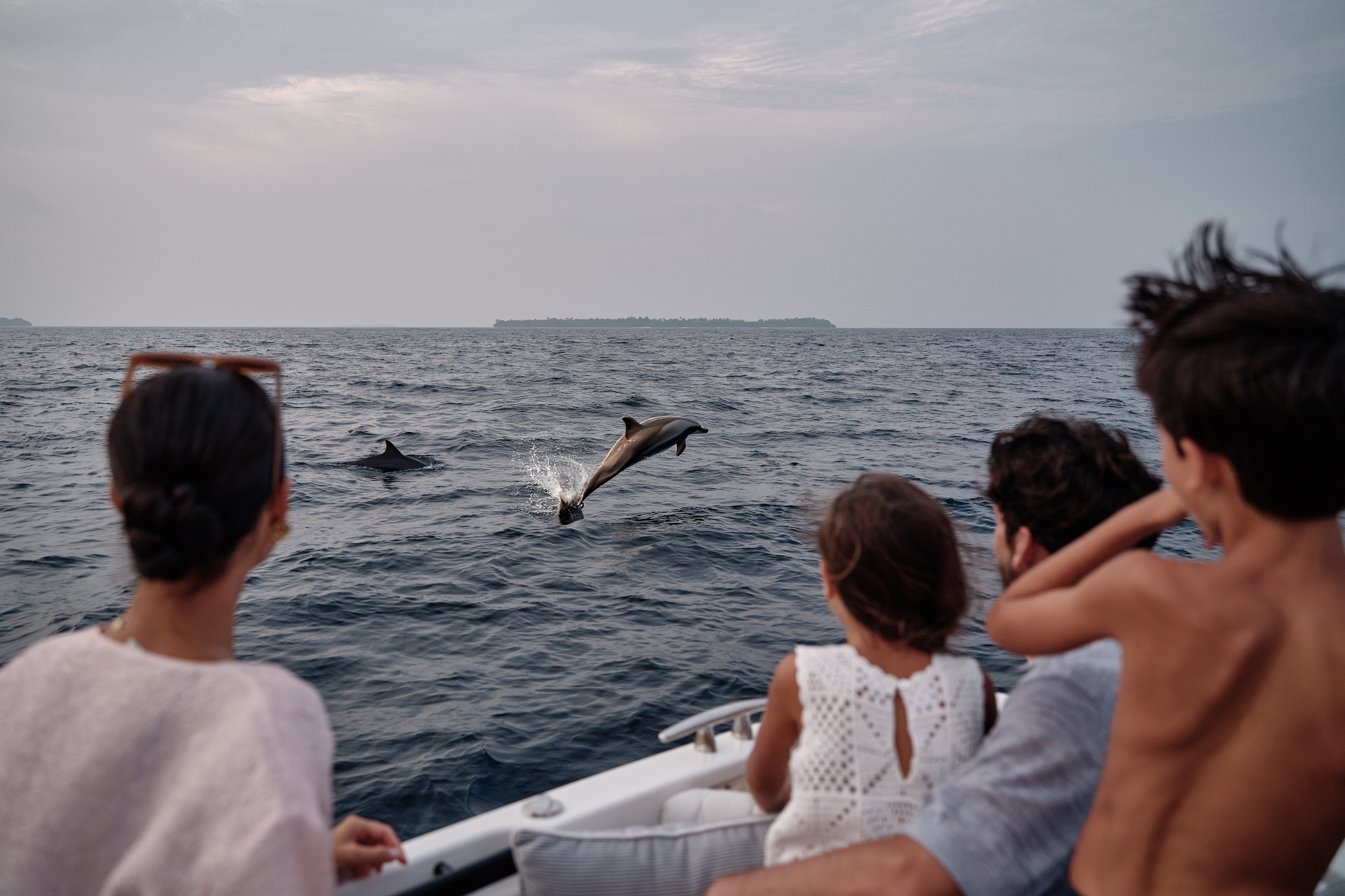 A family on a boat watching dolphins jump out of the water