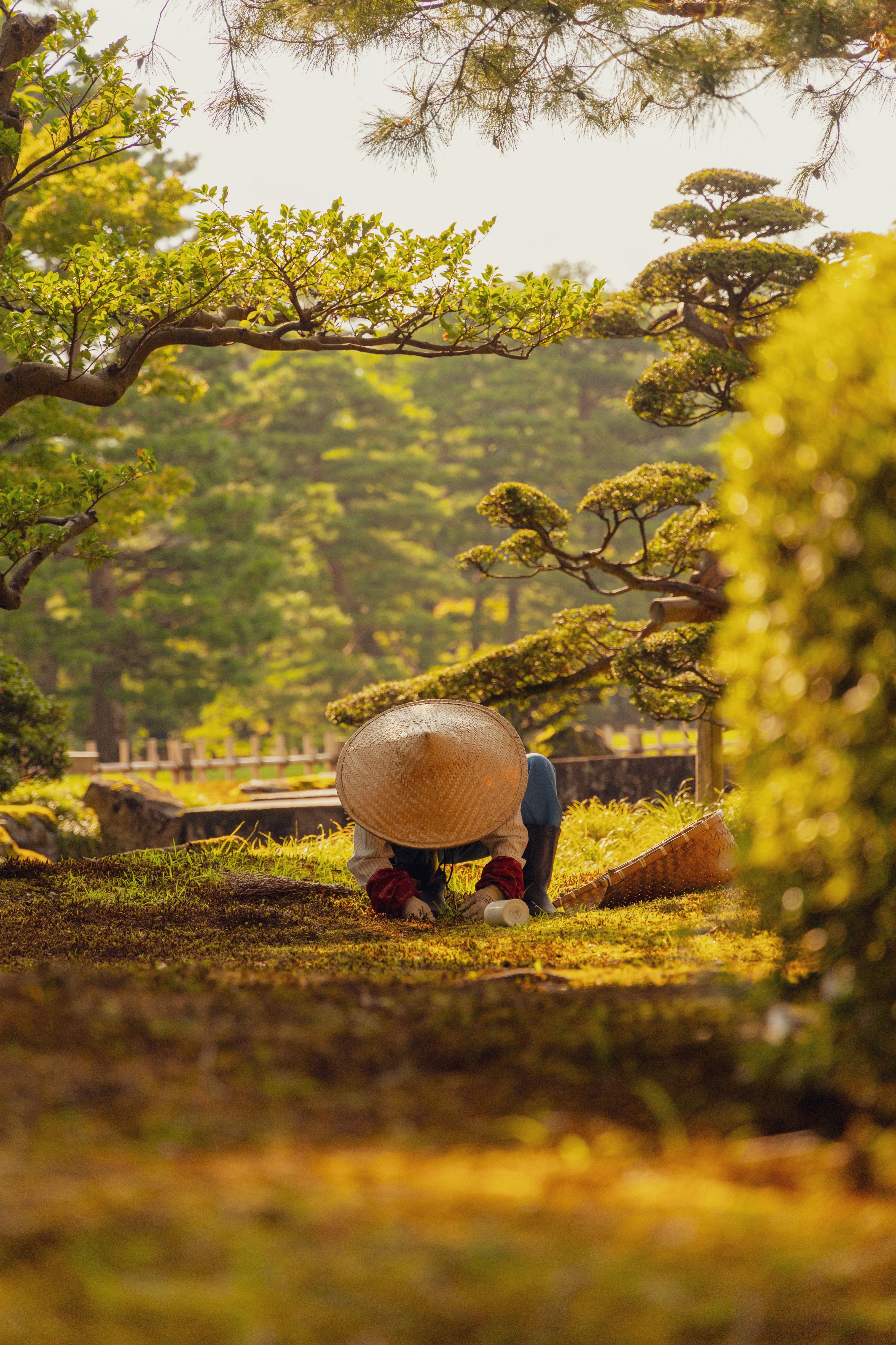 A person in a traditional Japanese straw hat gardening beneath trees
