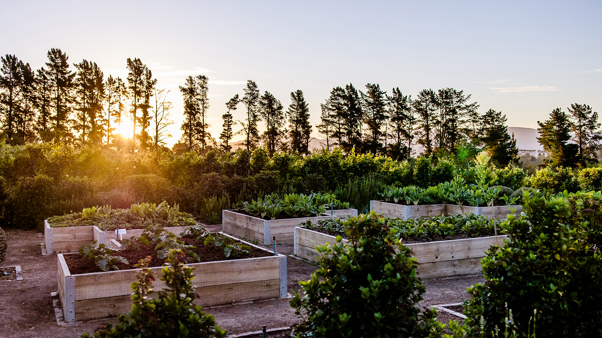 Africa, South Africa, Paarl, Brookdale Estate, Gardens