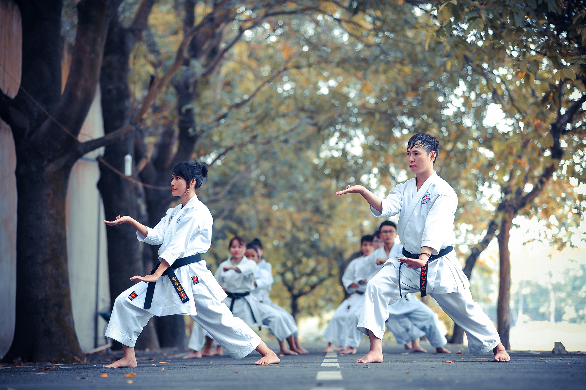 Man and woman doing karate on road