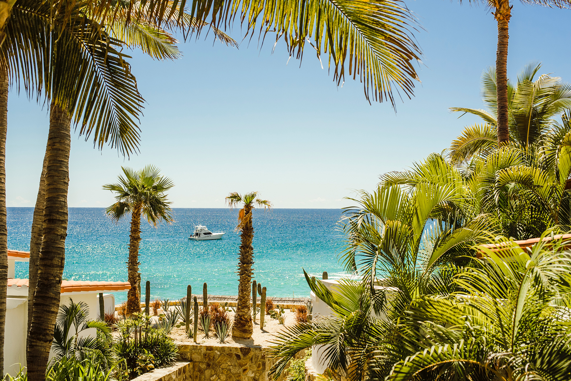 Palm trees near body of water during daytime