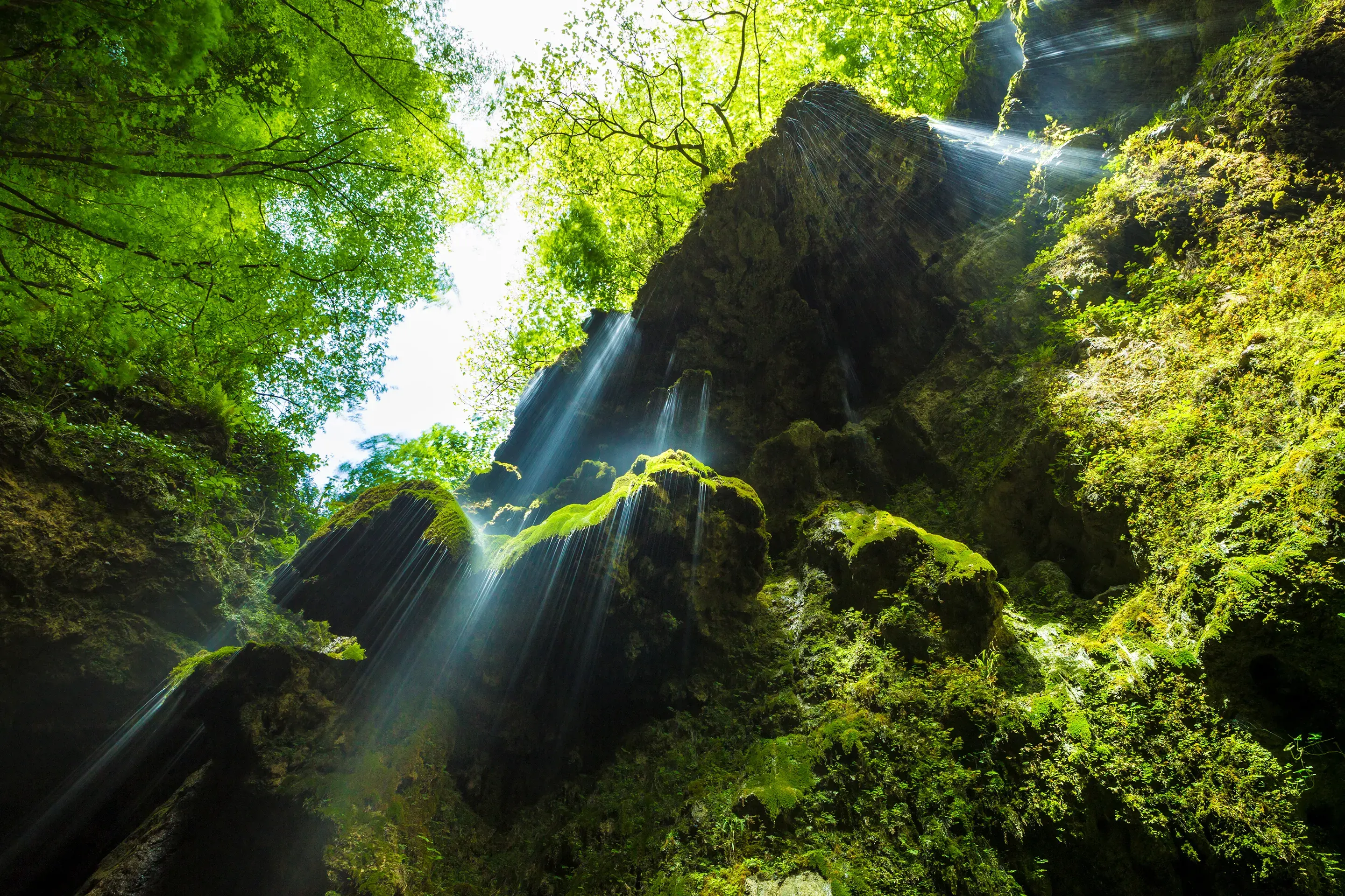 Sunlight streaming through lush green trees onto moss-covered rocks in a serene forest waterfall in Valle delle Ferriere Nature Reserve.