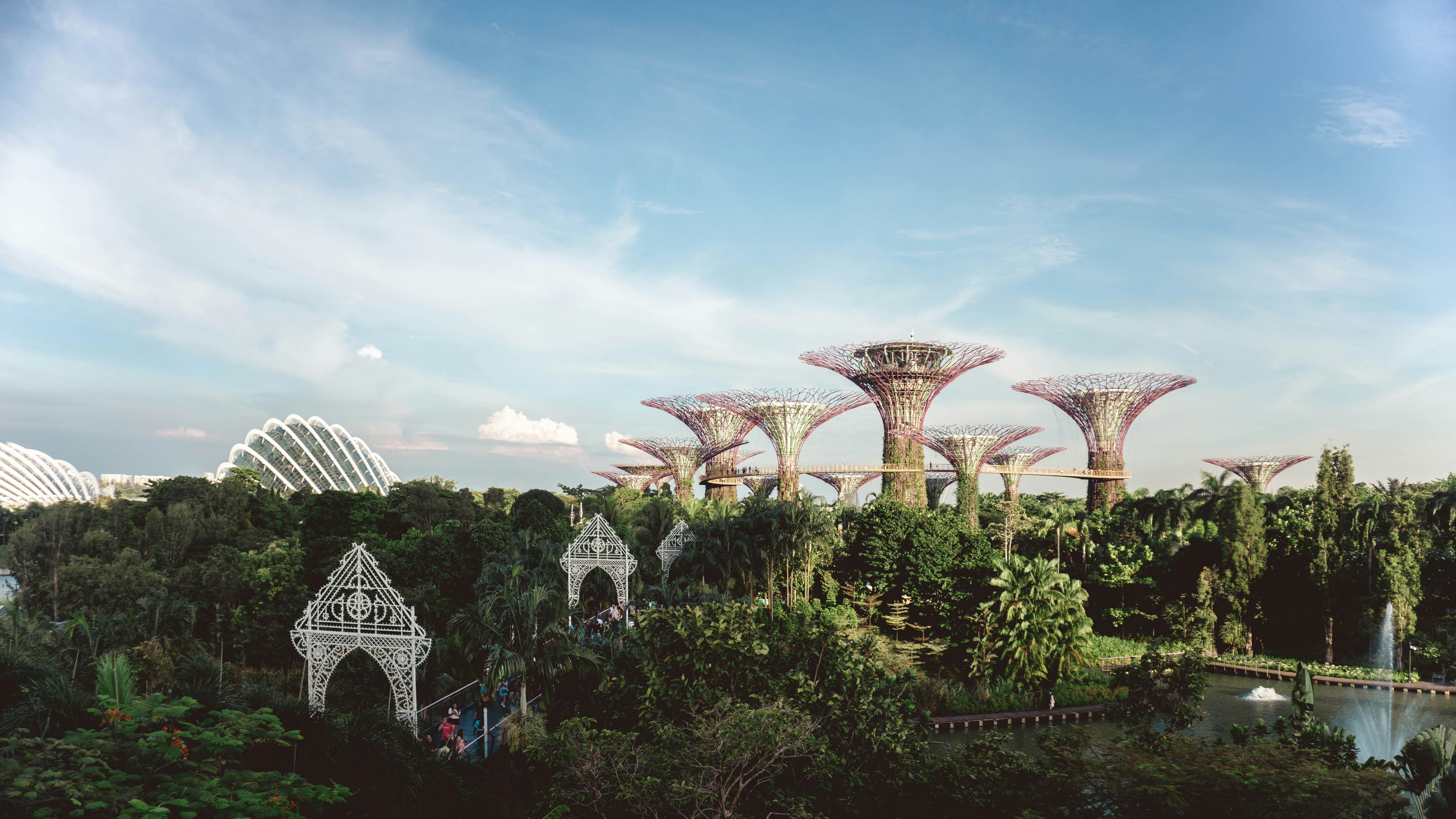 The lush ground of the Singapore sky gardens with other iconic local structures beneath a clear blue sky