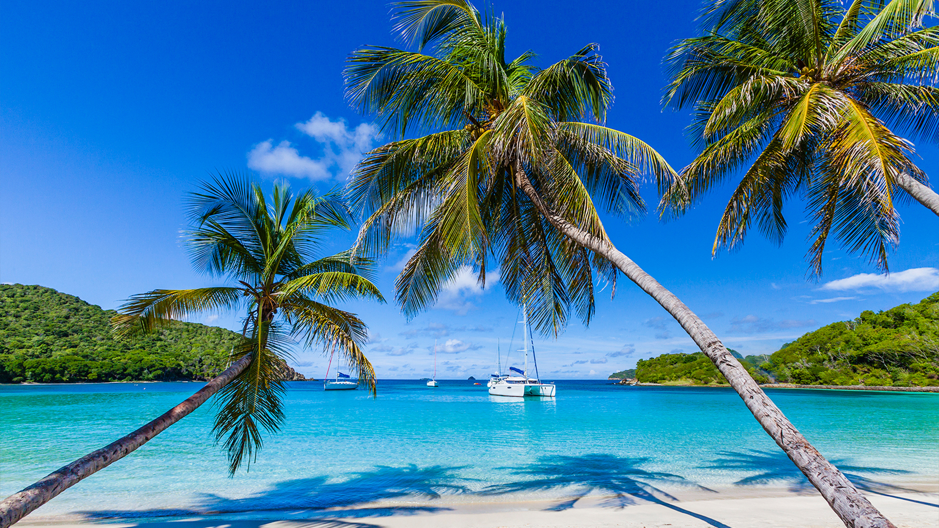 Caribbean, Barbados, Barbados & The Grenadines, Sea view