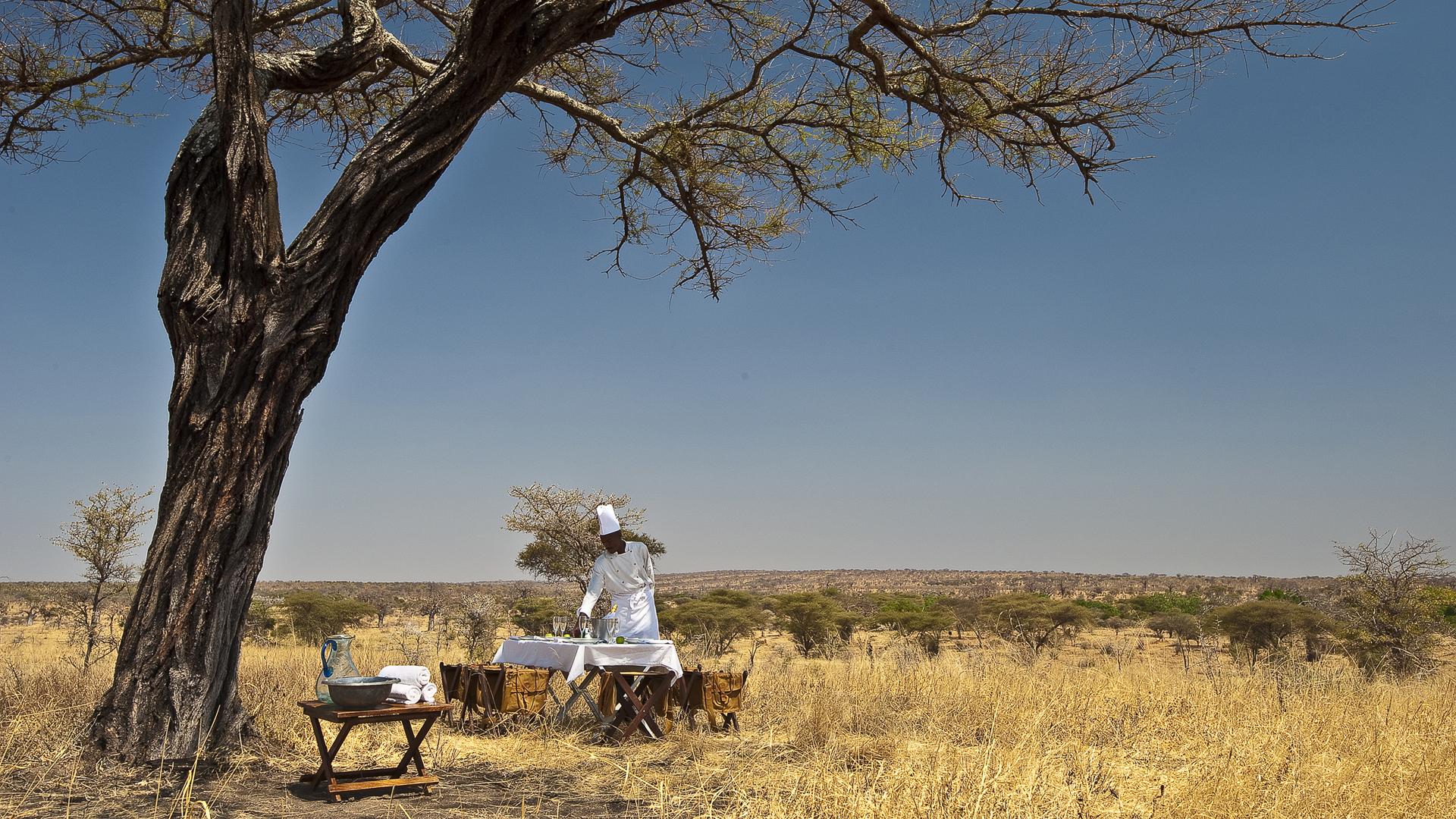  Africa, Tanzania, Tarangire treetops, Bush lunch