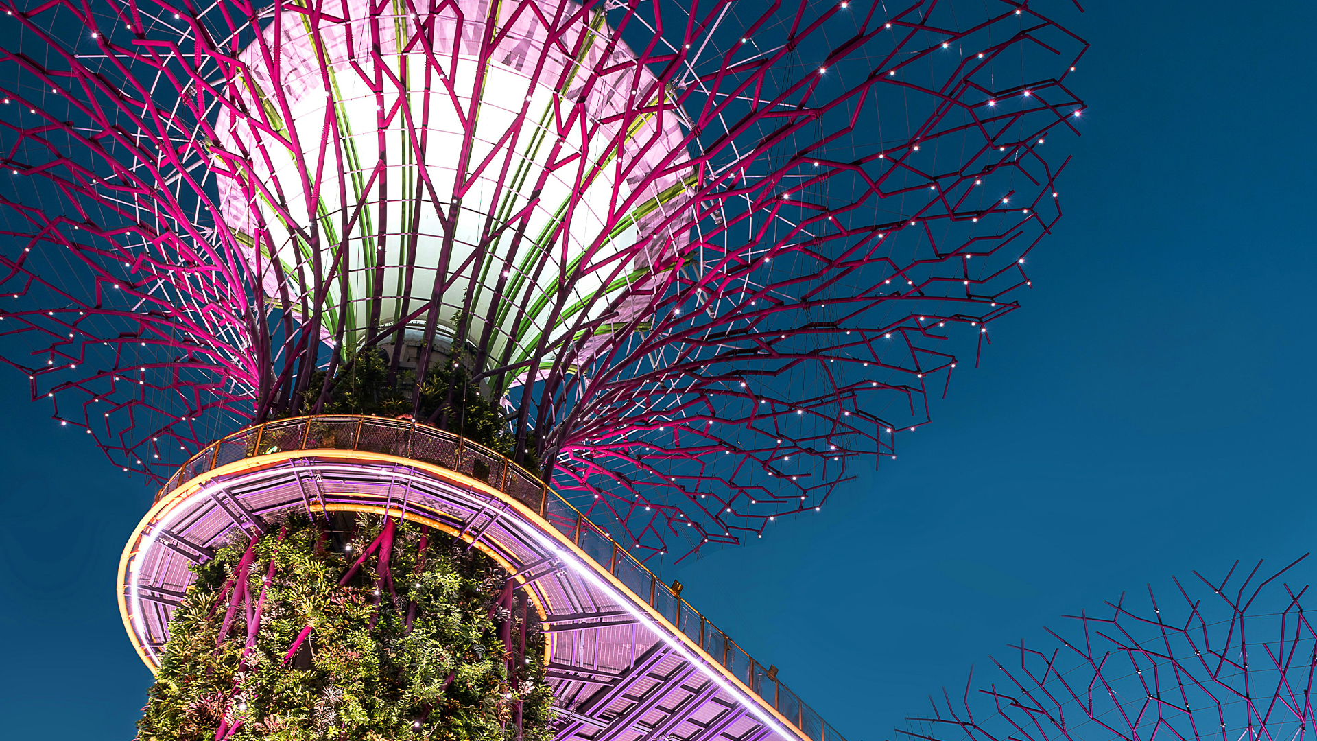 A vibrant, futuristic tree-like structure from Singapore’s Gardens by the Bay lights up the night sky with neon purple branches, drawing families into a magical evening garden adventure.