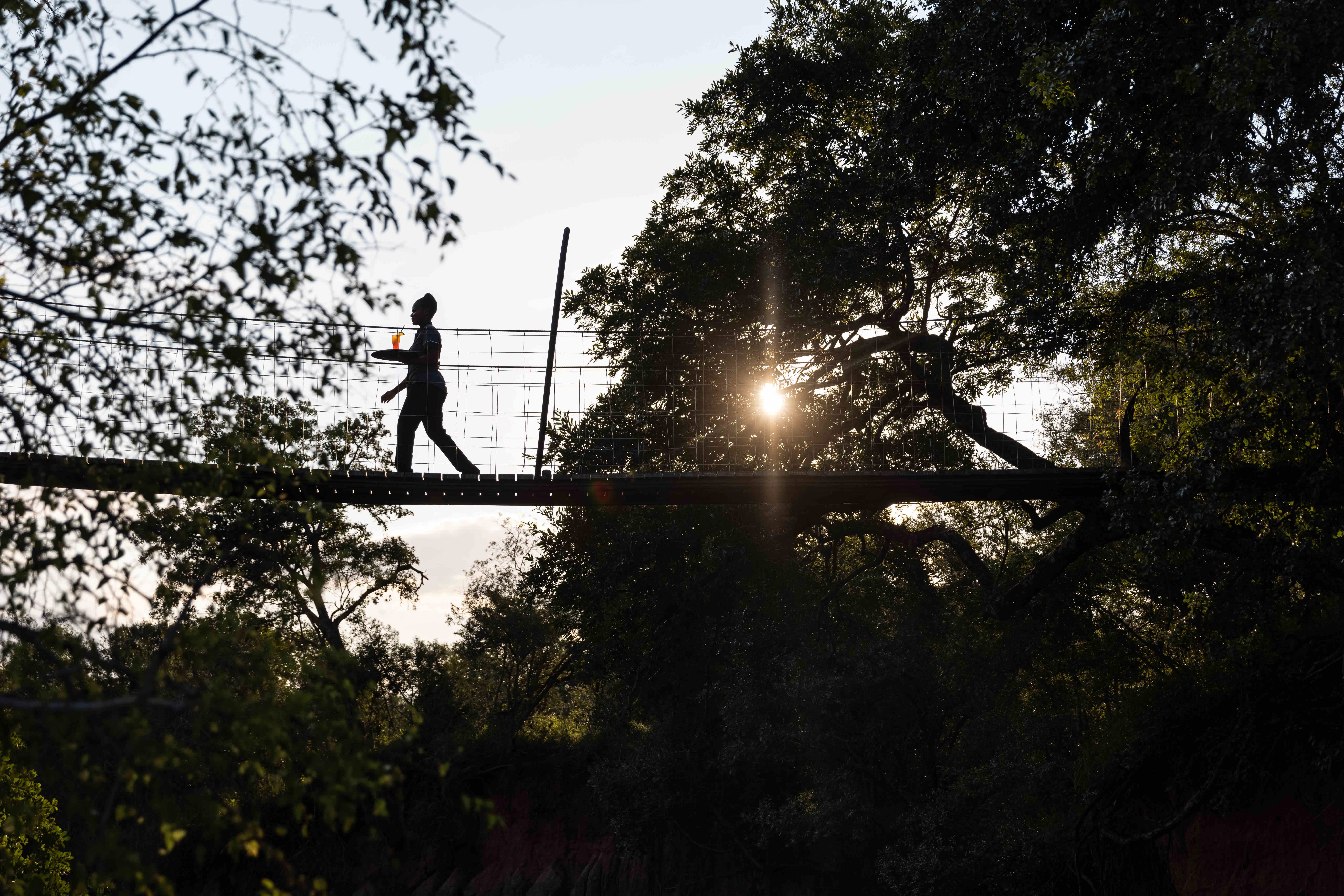  Africa, South Africa, Ulusaba Safari Lodge, Bridge