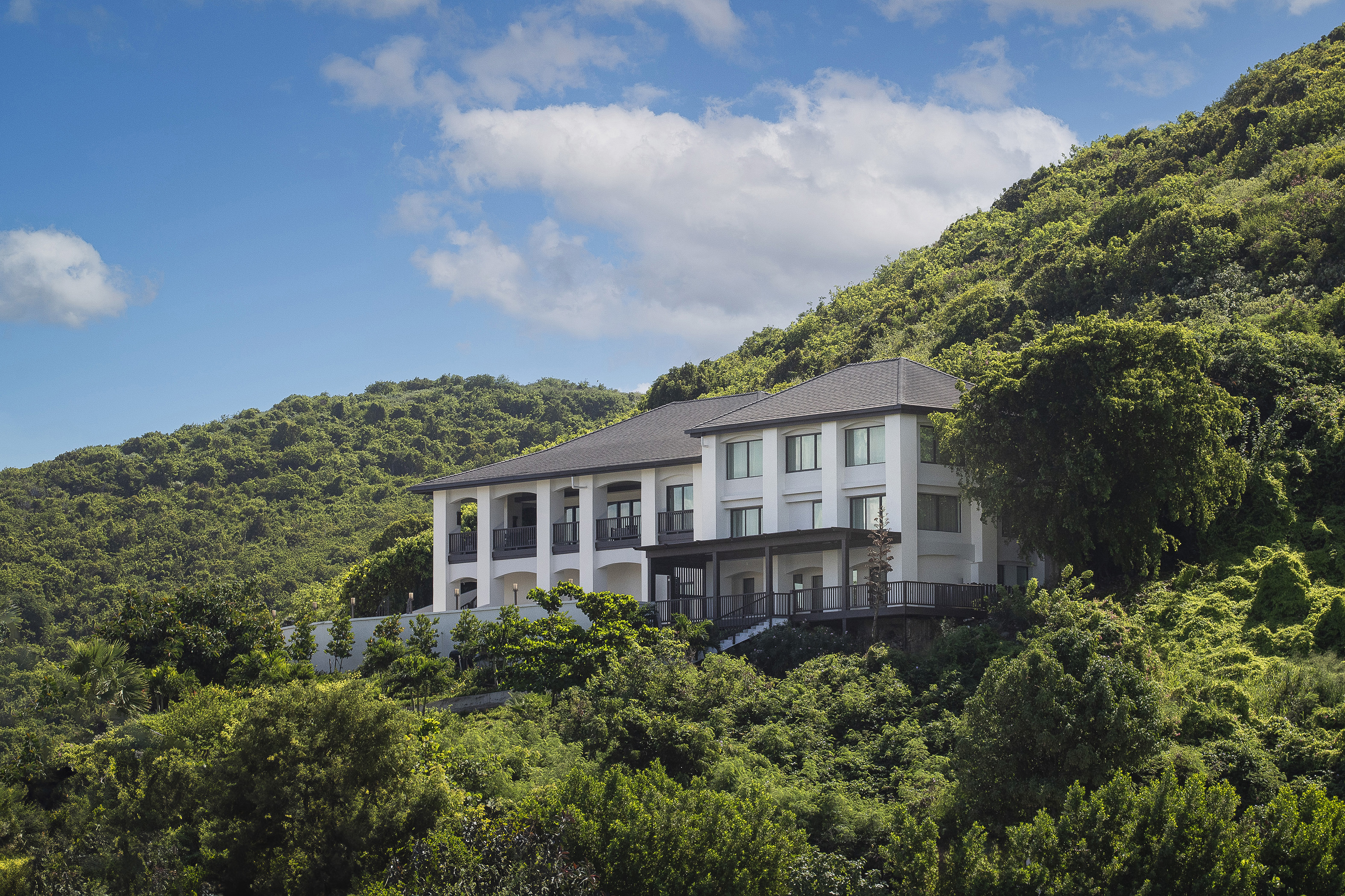Large white villa among lush greenery on the side of a hill