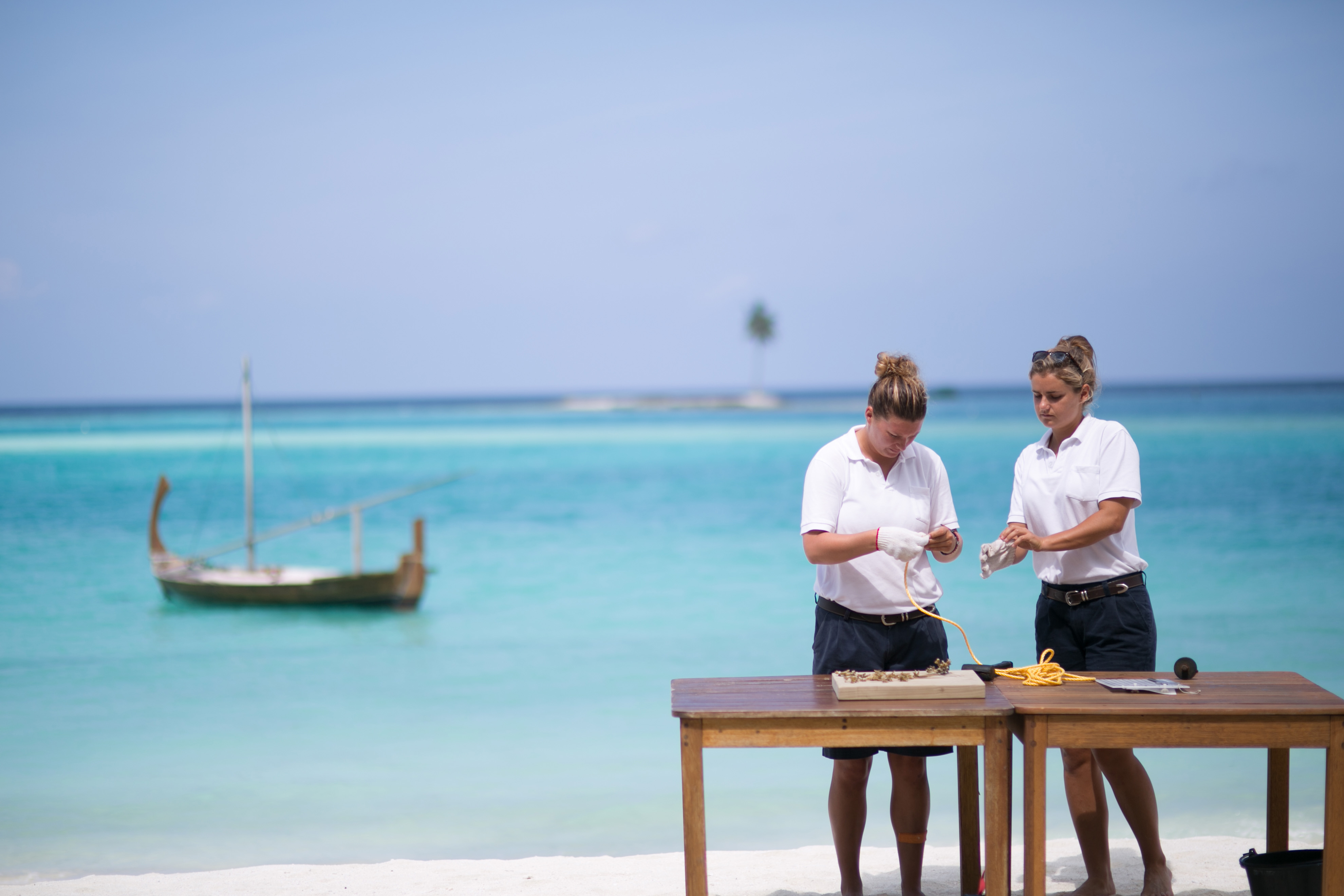 The marine biologists of Gili Lankanfushi, Maldives at a wooden table on the beach