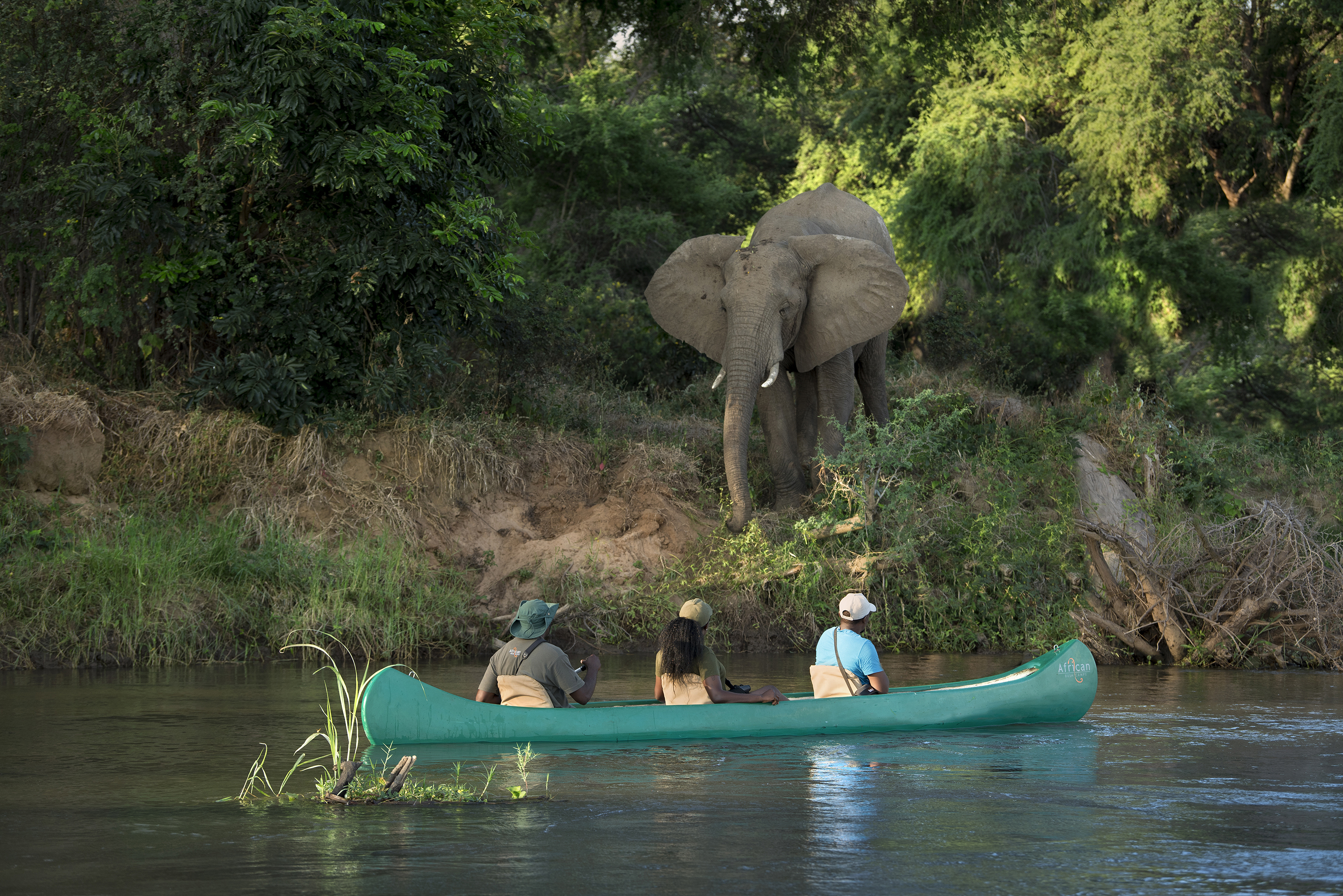 Three people in a green canoe drifting by an elephant on the riverbank