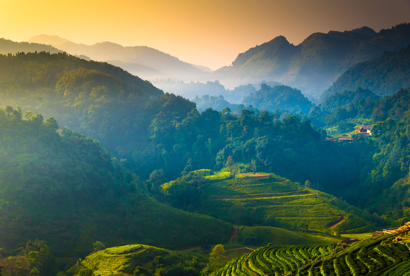 Paddy fields and mountains in the landscape of Chiang Mai